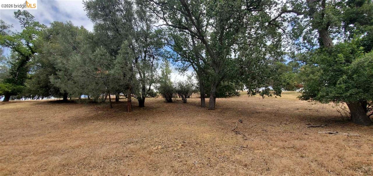 Detail Gallery Image 7 of 36 For 6-234 Ferretti, Groveland,  CA 95321 - – Beds | – Baths