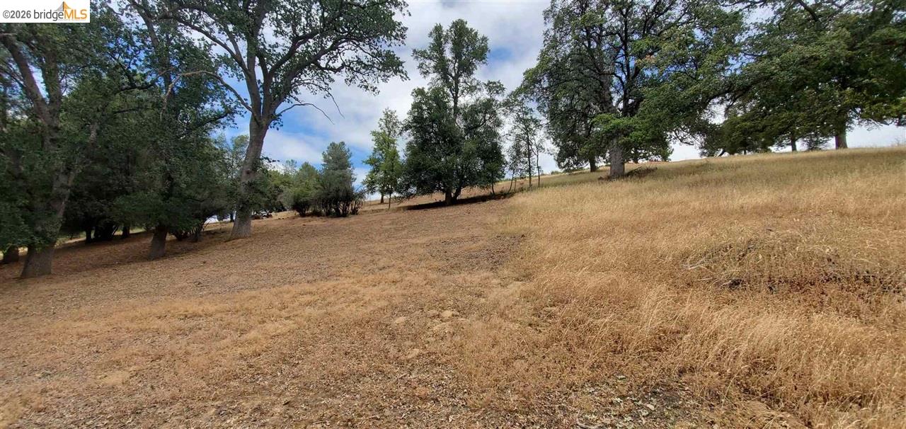 Detail Gallery Image 9 of 36 For 6-234 Ferretti, Groveland,  CA 95321 - – Beds | – Baths