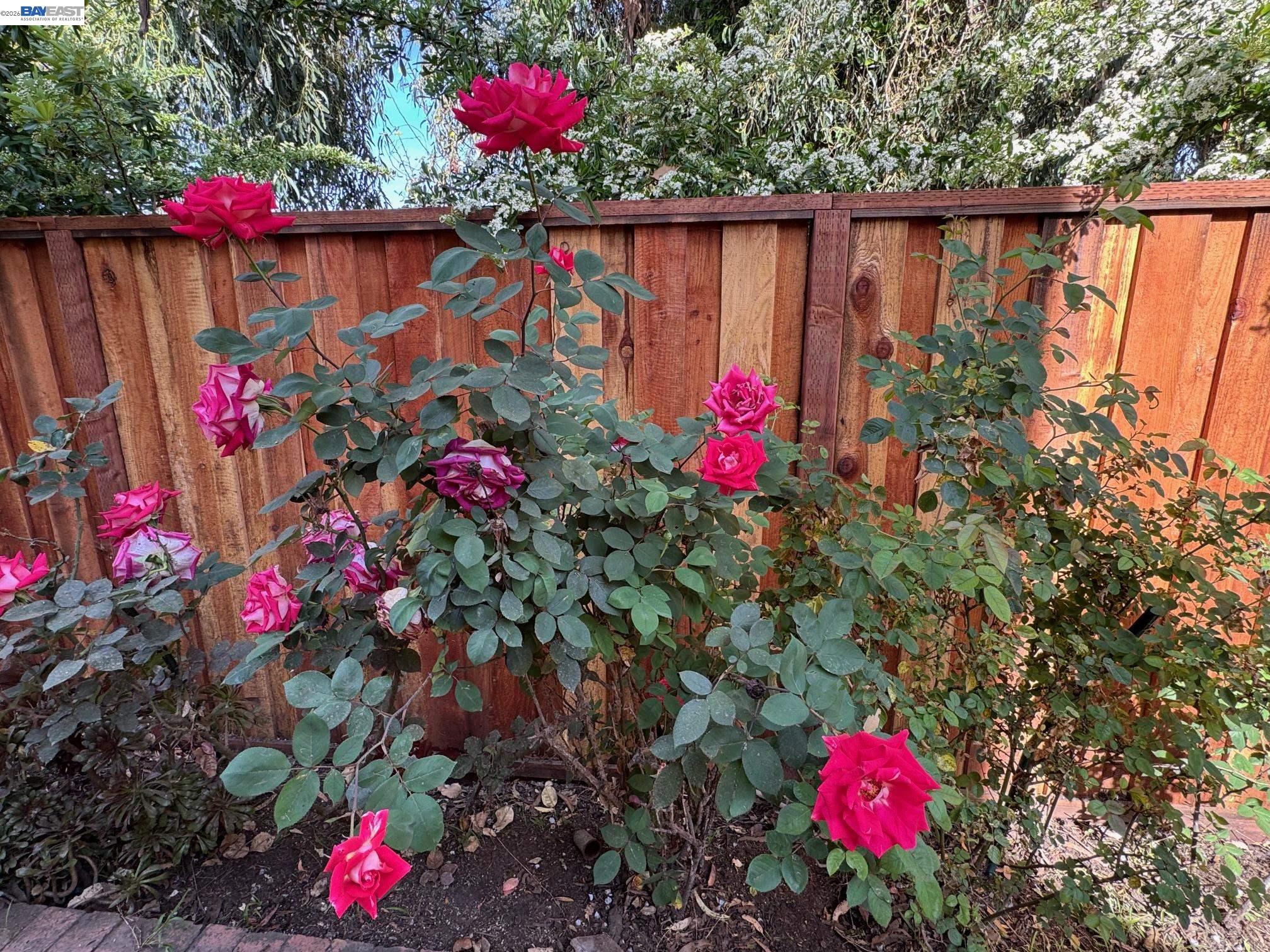 Detail Gallery Image 19 of 22 For 1265 Alder Creek Cir, San Leandro,  CA 94577 - 3 Beds | 2/1 Baths