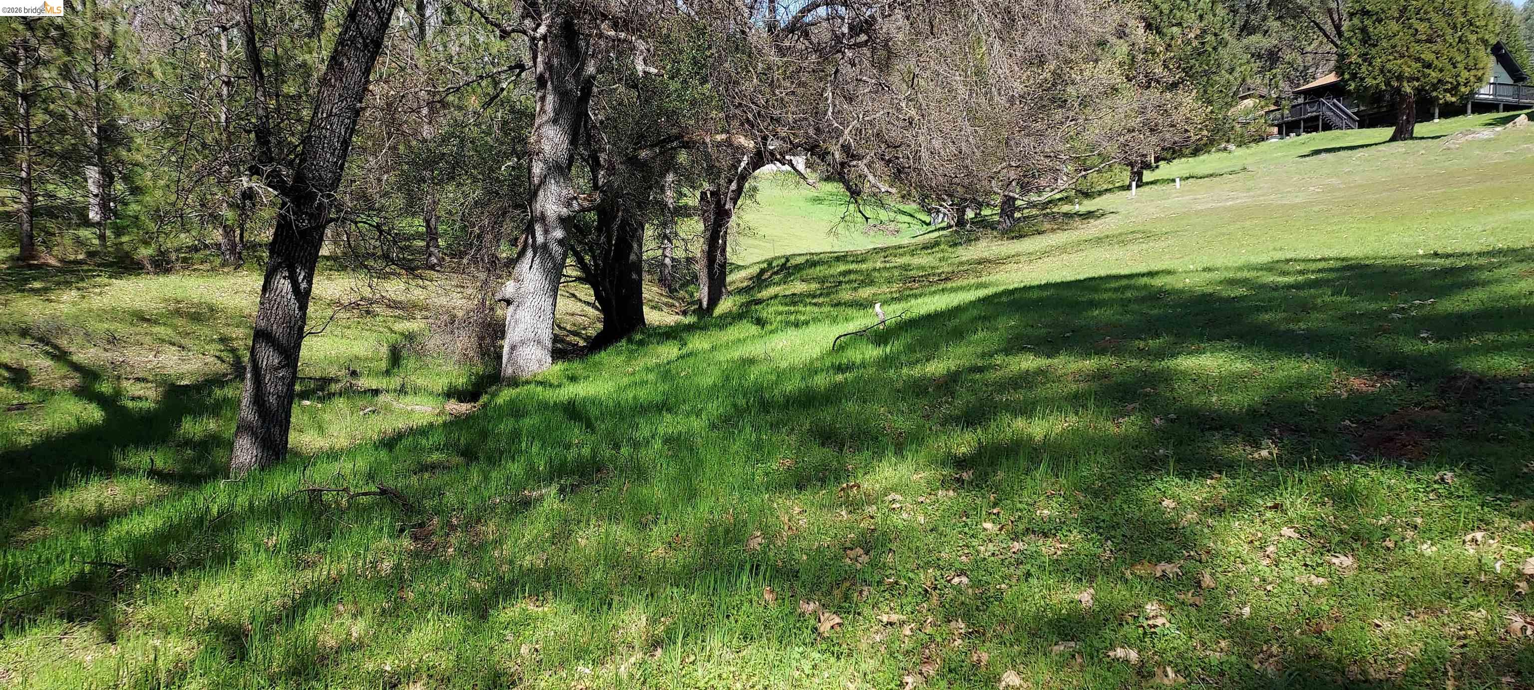 Detail Gallery Image 13 of 53 For 19808 Cottonwood St, Groveland,  CA 95321 - – Beds | – Baths