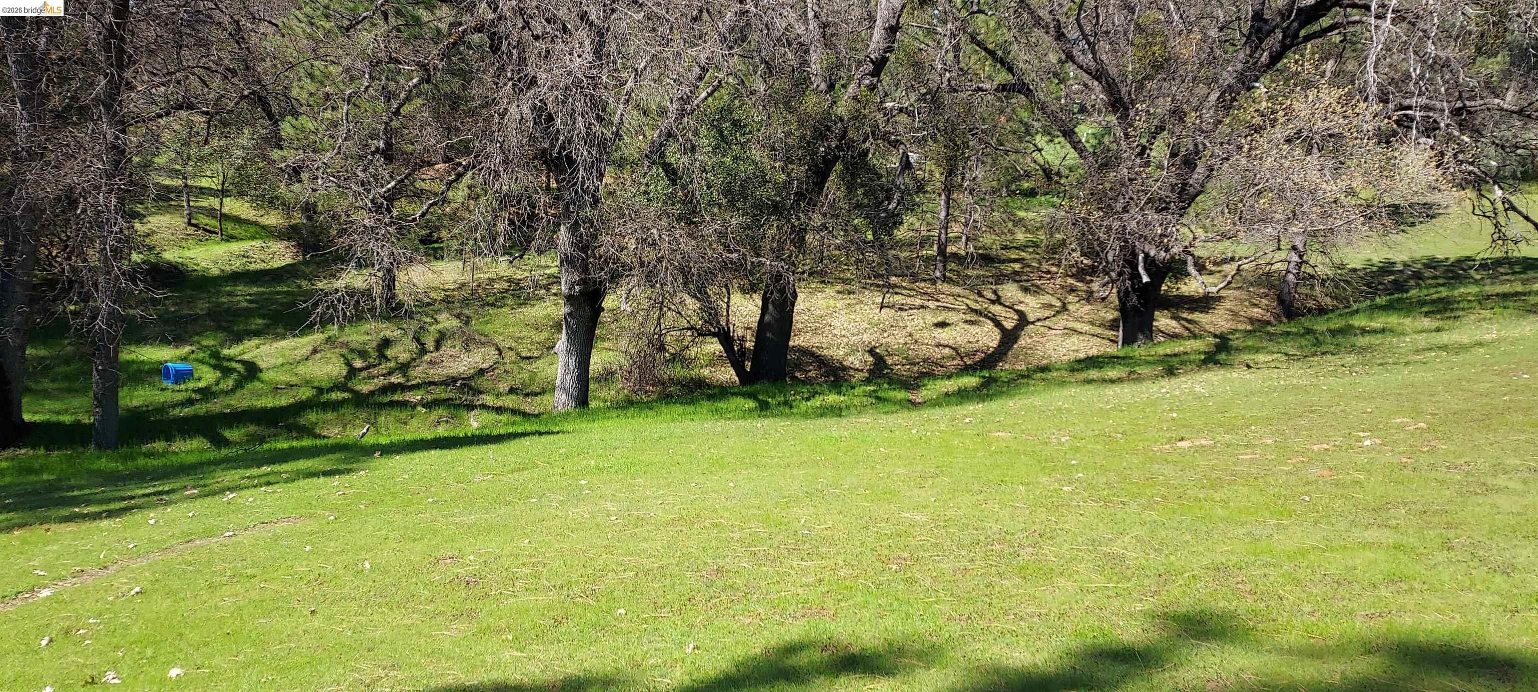 Detail Gallery Image 15 of 53 For 19808 Cottonwood St, Groveland,  CA 95321 - – Beds | – Baths