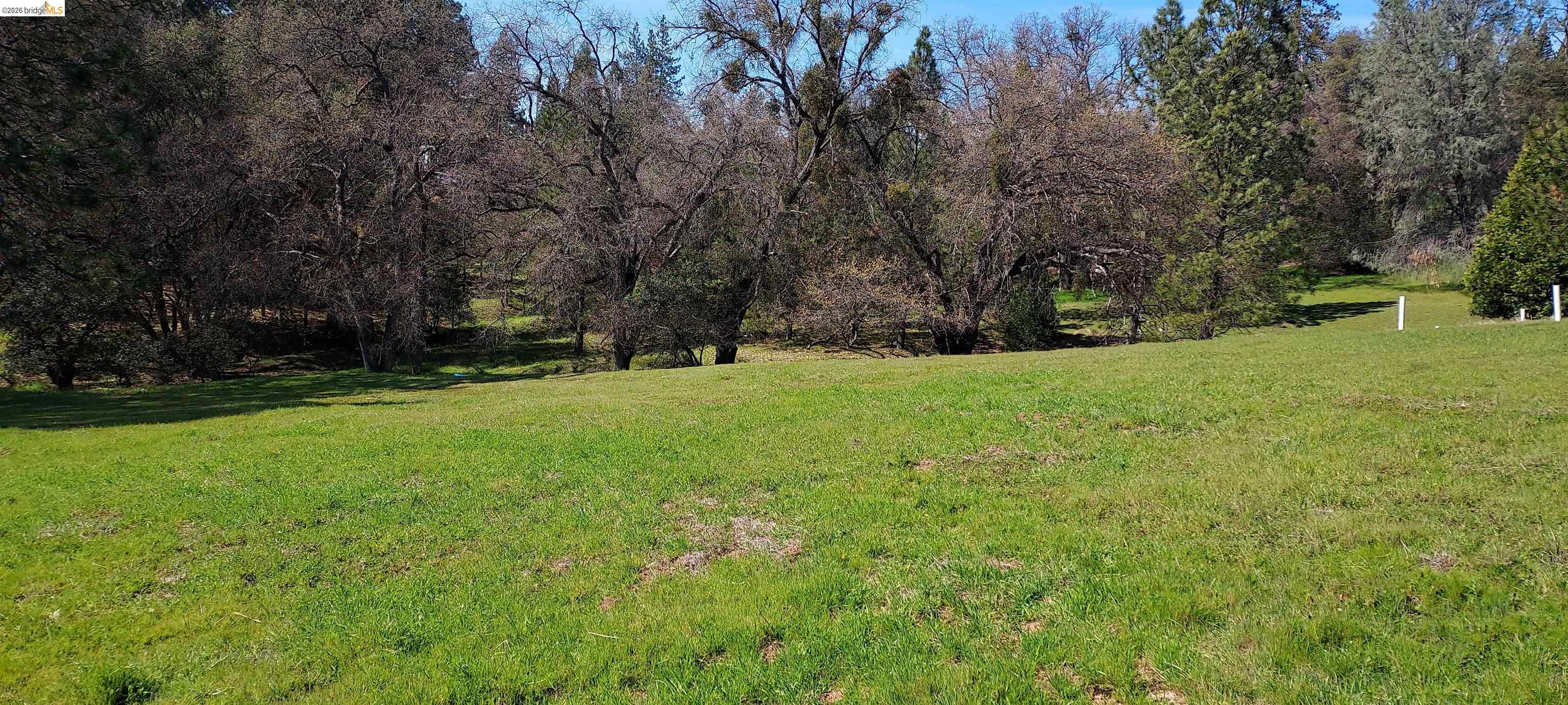 Detail Gallery Image 4 of 53 For 19808 Cottonwood St, Groveland,  CA 95321 - – Beds | – Baths