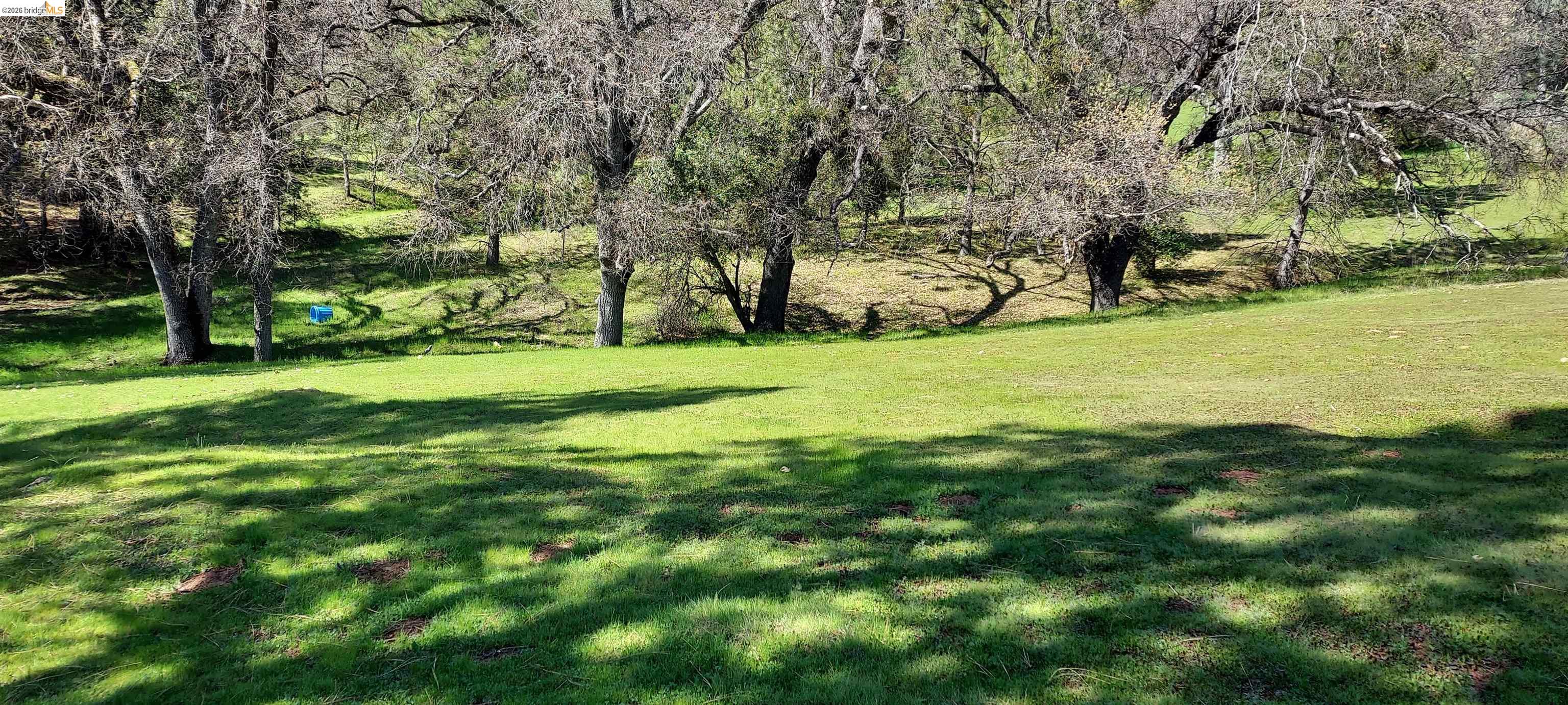 Detail Gallery Image 5 of 53 For 19808 Cottonwood St, Groveland,  CA 95321 - – Beds | – Baths