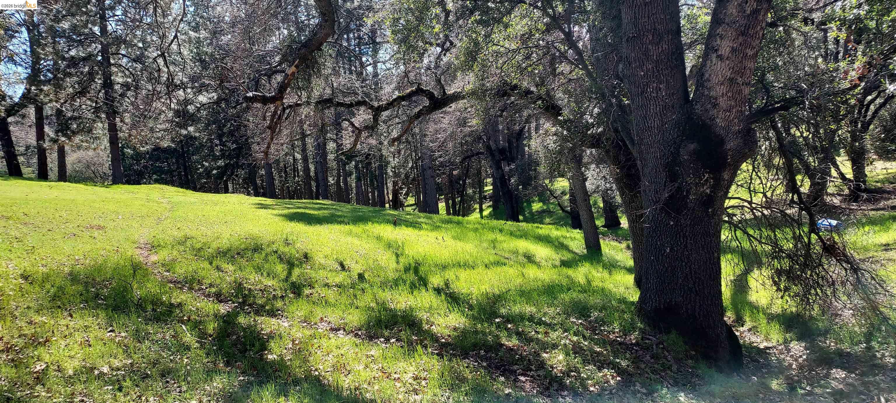 Detail Gallery Image 6 of 53 For 19808 Cottonwood St, Groveland,  CA 95321 - – Beds | – Baths