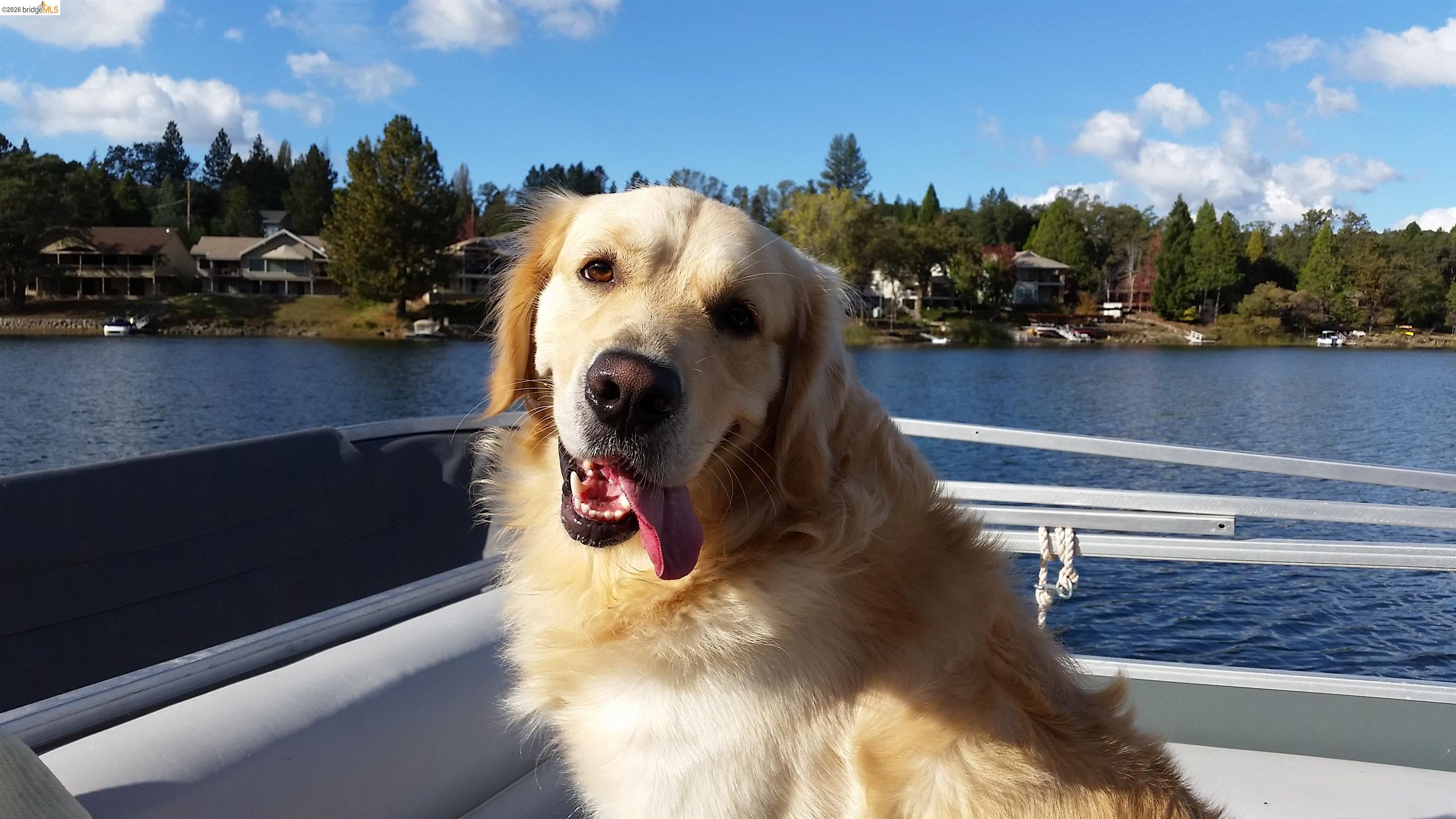 Detail Gallery Image 53 of 53 For 19808 Cottonwood St, Groveland,  CA 95321 - – Beds | – Baths