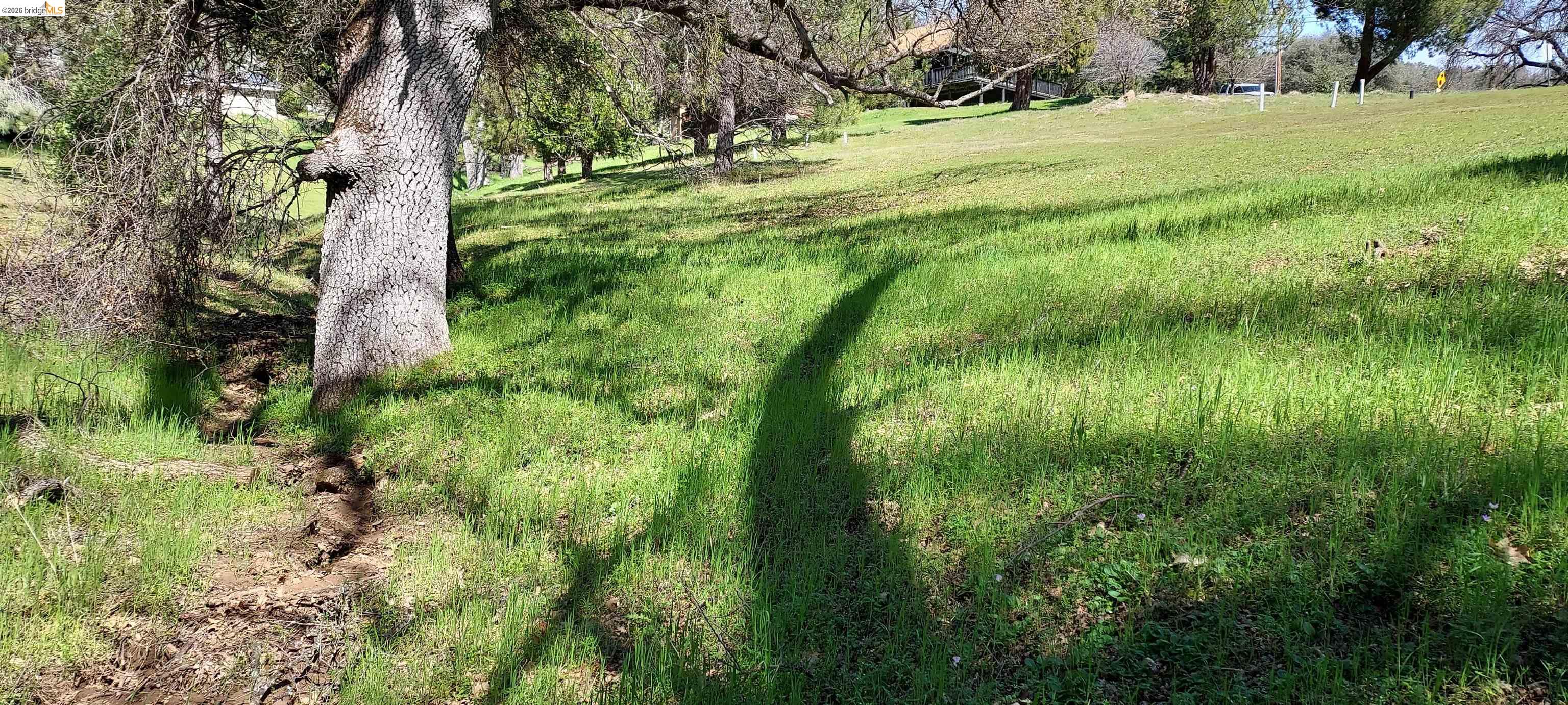 Detail Gallery Image 10 of 53 For 19808 Cottonwood St, Groveland,  CA 95321 - – Beds | – Baths