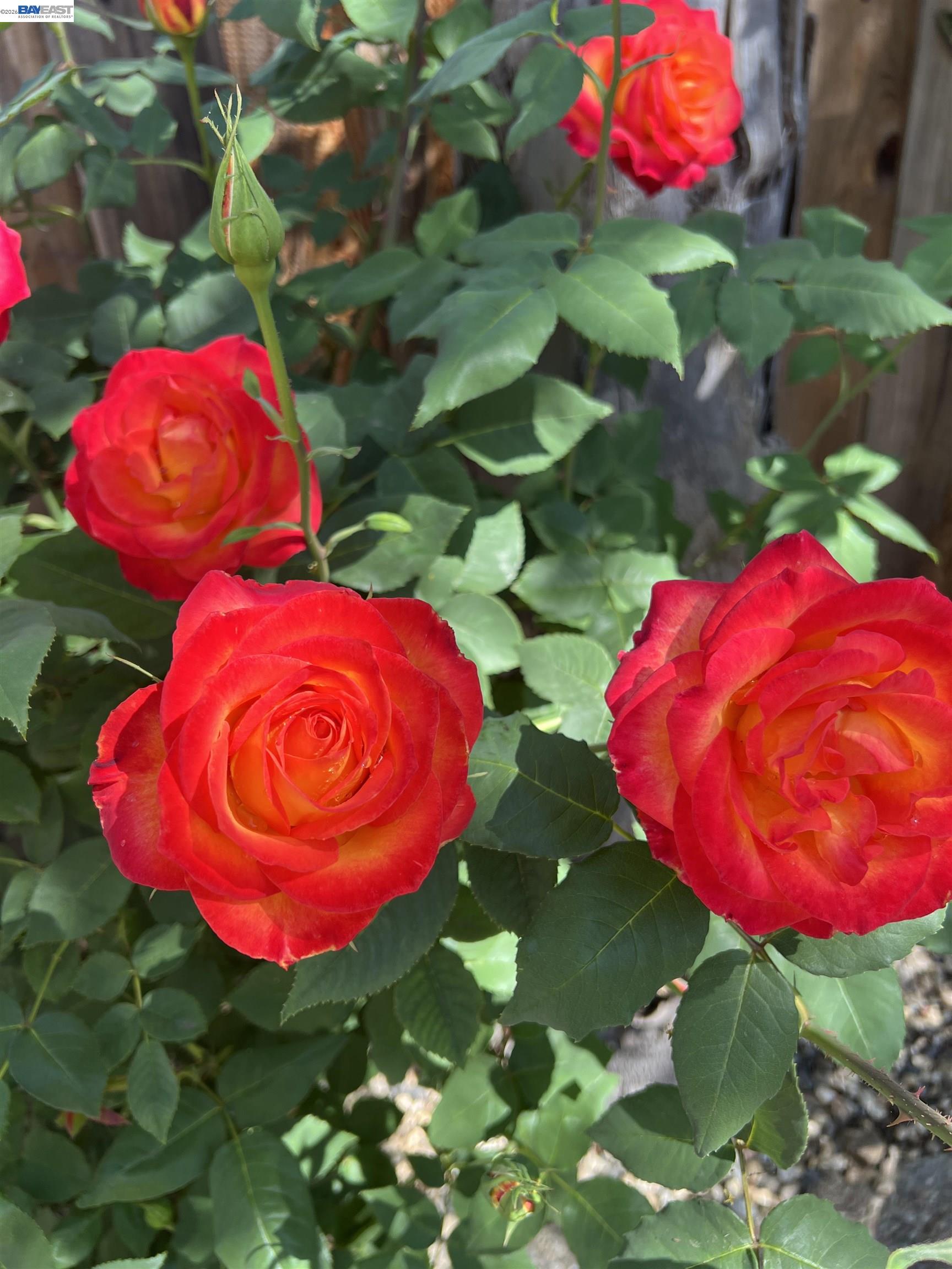 Detail Gallery Image 44 of 53 For 690 Kraftile Ct., Fremont,  CA 94536 - 5 Beds | 3 Baths