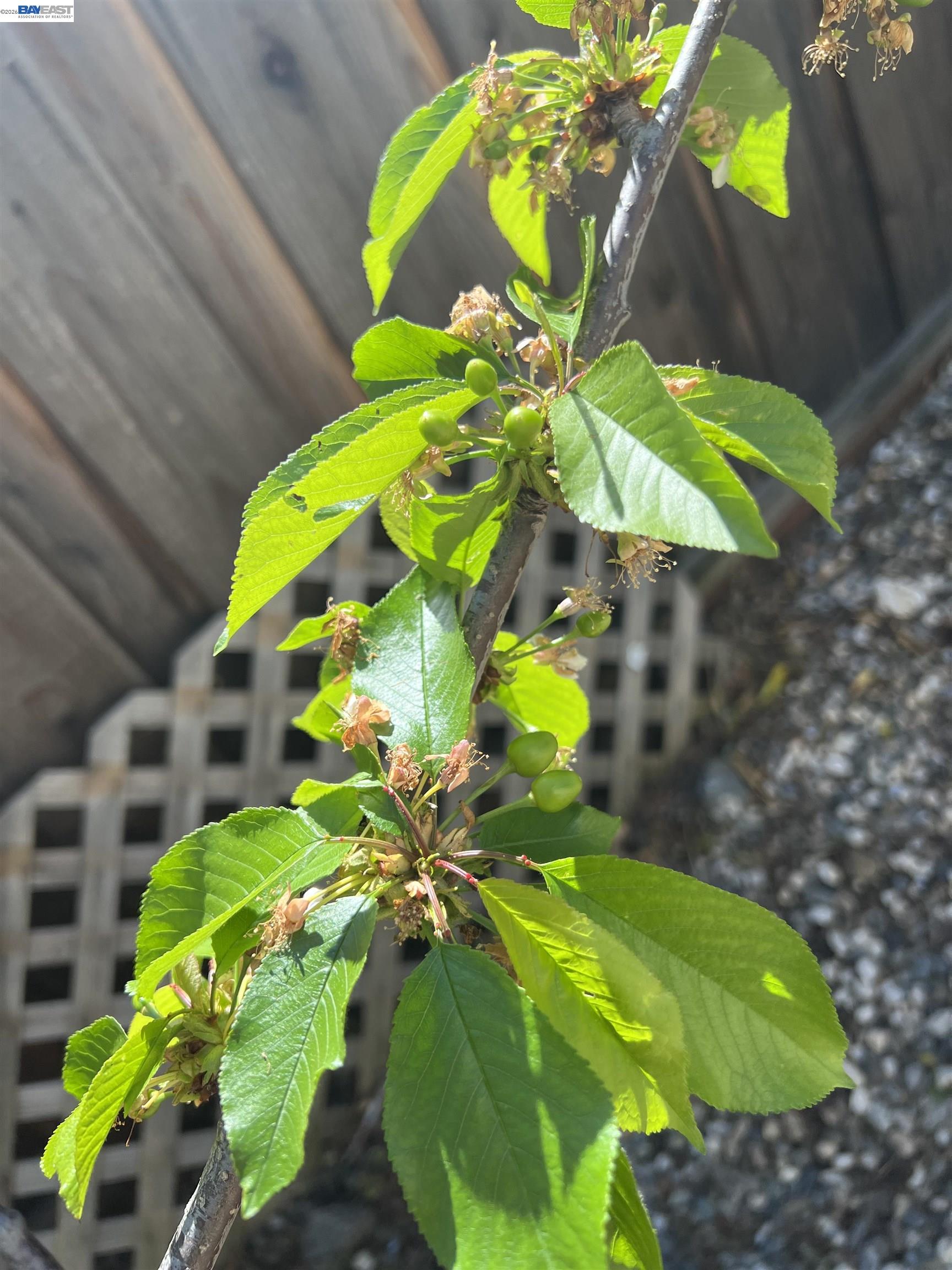 Detail Gallery Image 45 of 53 For 690 Kraftile Ct., Fremont,  CA 94536 - 5 Beds | 3 Baths