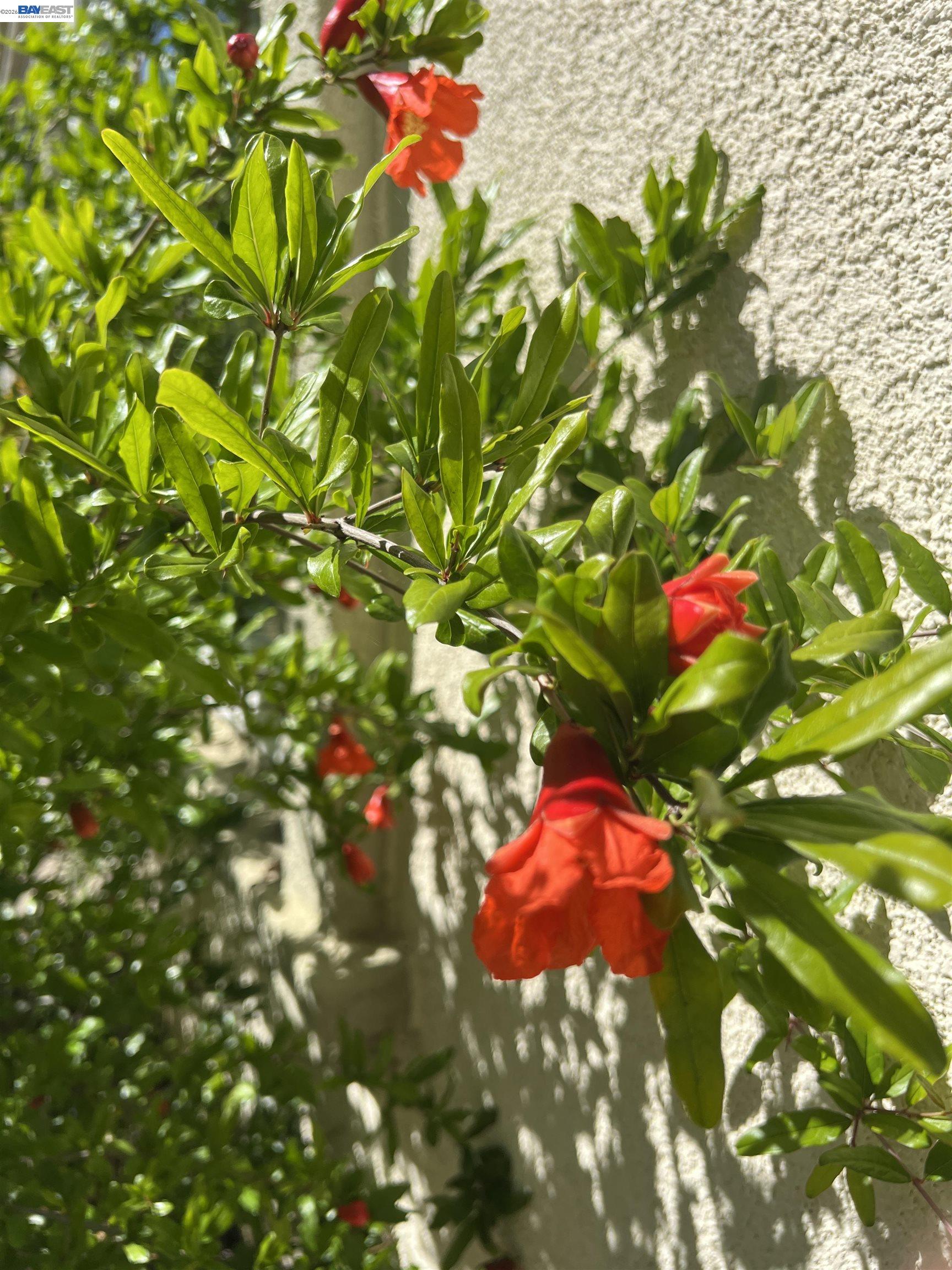 Detail Gallery Image 47 of 53 For 690 Kraftile Ct., Fremont,  CA 94536 - 5 Beds | 3 Baths