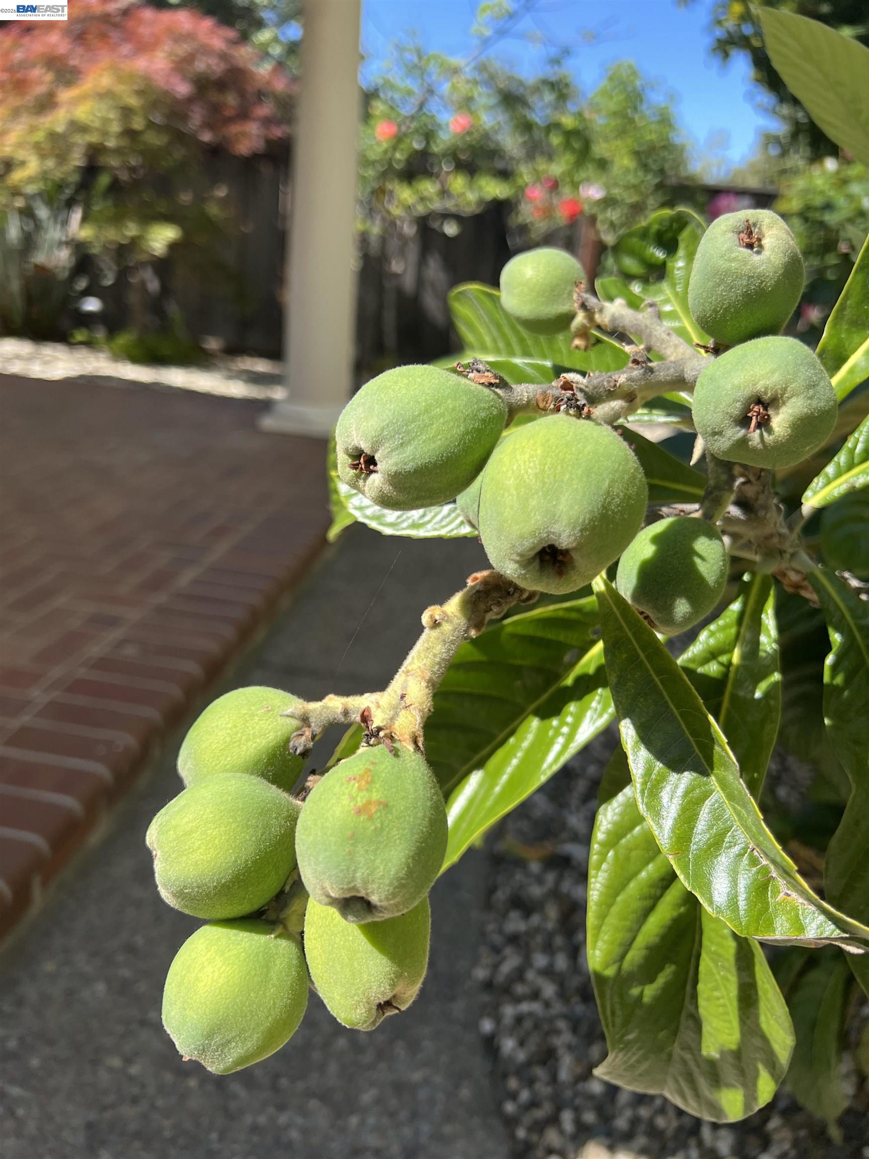 Detail Gallery Image 48 of 53 For 690 Kraftile Ct., Fremont,  CA 94536 - 5 Beds | 3 Baths