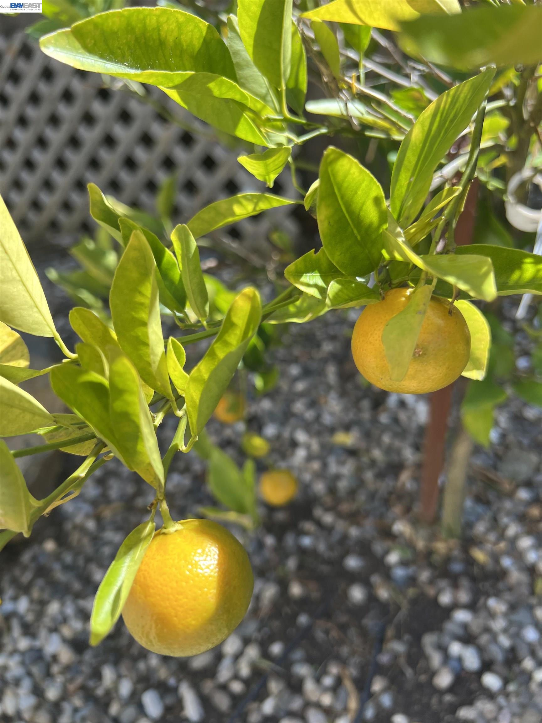 Detail Gallery Image 49 of 53 For 690 Kraftile Ct., Fremont,  CA 94536 - 5 Beds | 3 Baths