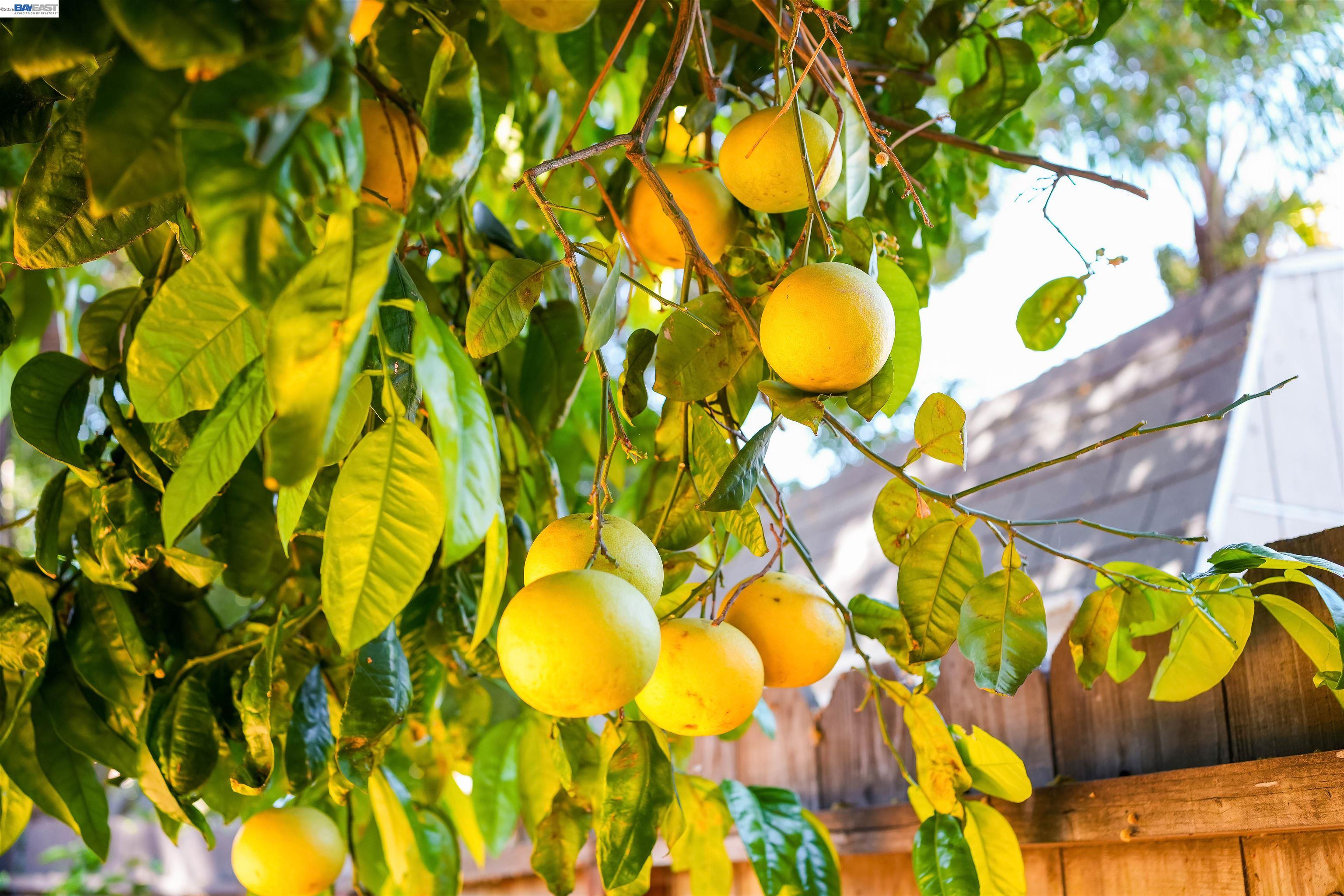 Detail Gallery Image 45 of 54 For 32287 Ithaca St, Hayward,  CA 94544 - 2 Beds | 1 Baths