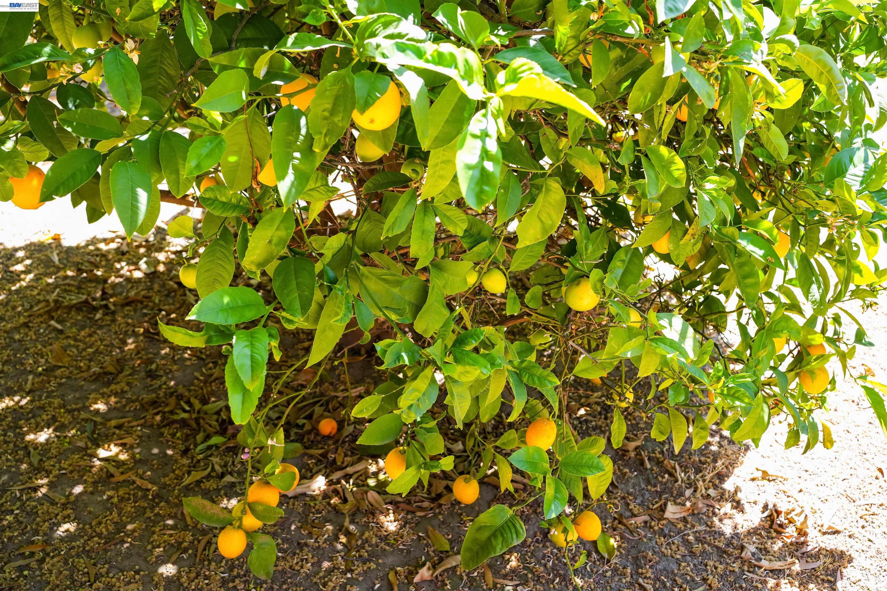 Detail Gallery Image 46 of 54 For 32287 Ithaca St, Hayward,  CA 94544 - 2 Beds | 1 Baths