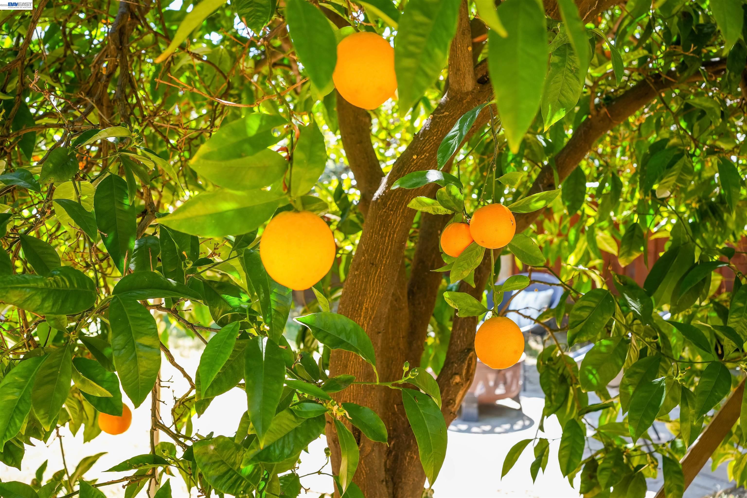 Detail Gallery Image 47 of 54 For 32287 Ithaca St, Hayward,  CA 94544 - 2 Beds | 1 Baths