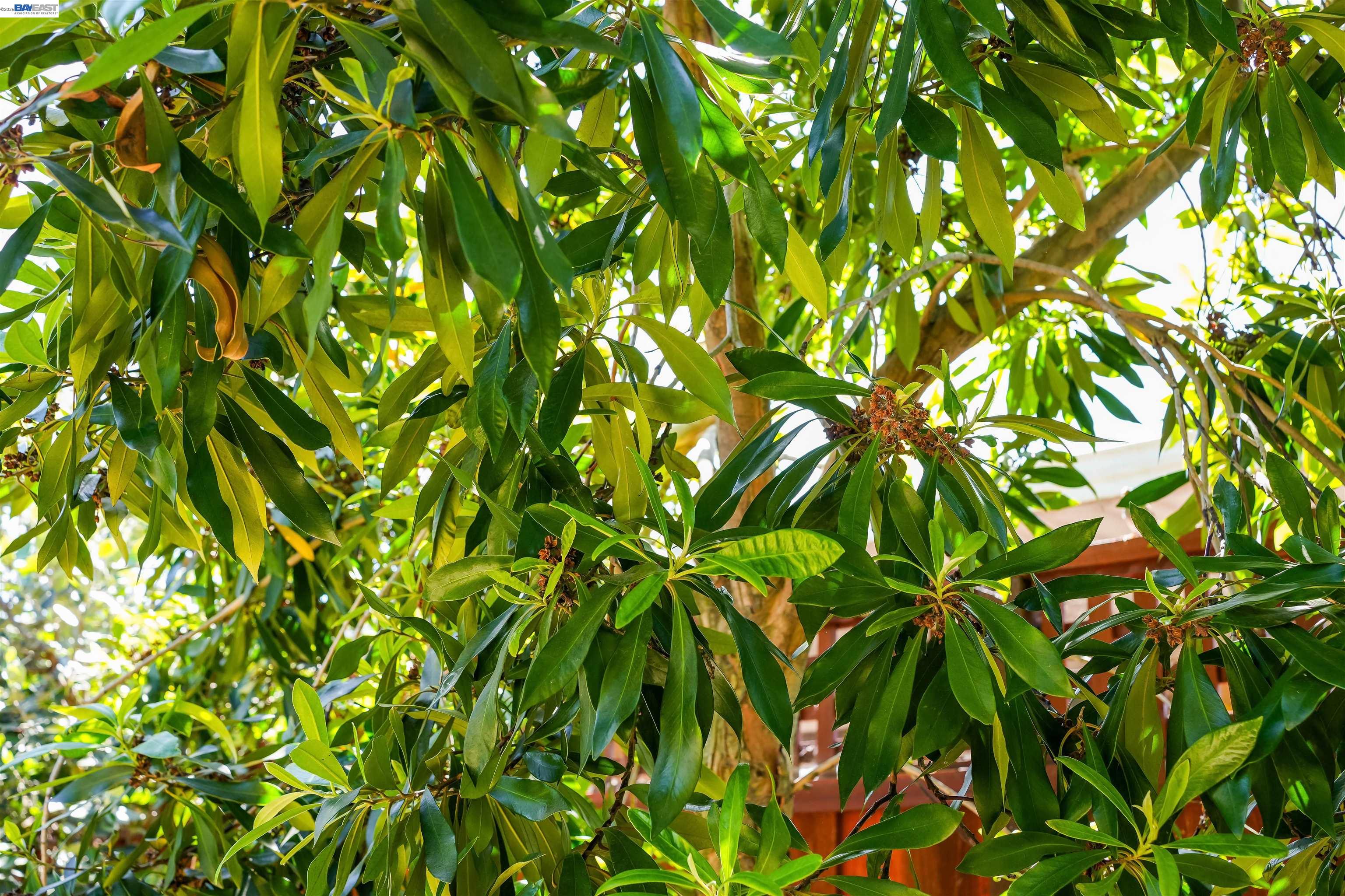 Detail Gallery Image 48 of 54 For 32287 Ithaca St, Hayward,  CA 94544 - 2 Beds | 1 Baths