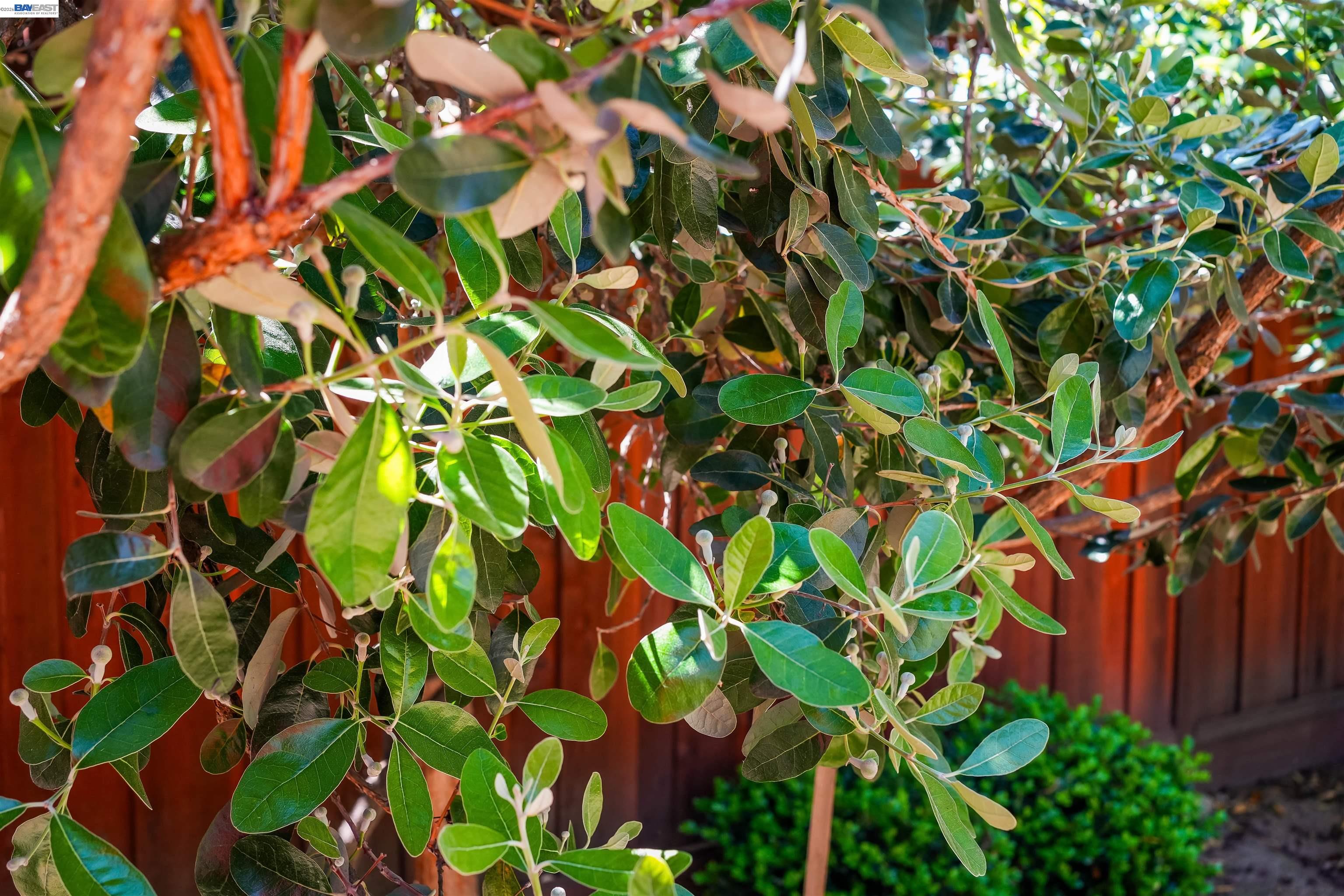 Detail Gallery Image 49 of 54 For 32287 Ithaca St, Hayward,  CA 94544 - 2 Beds | 1 Baths