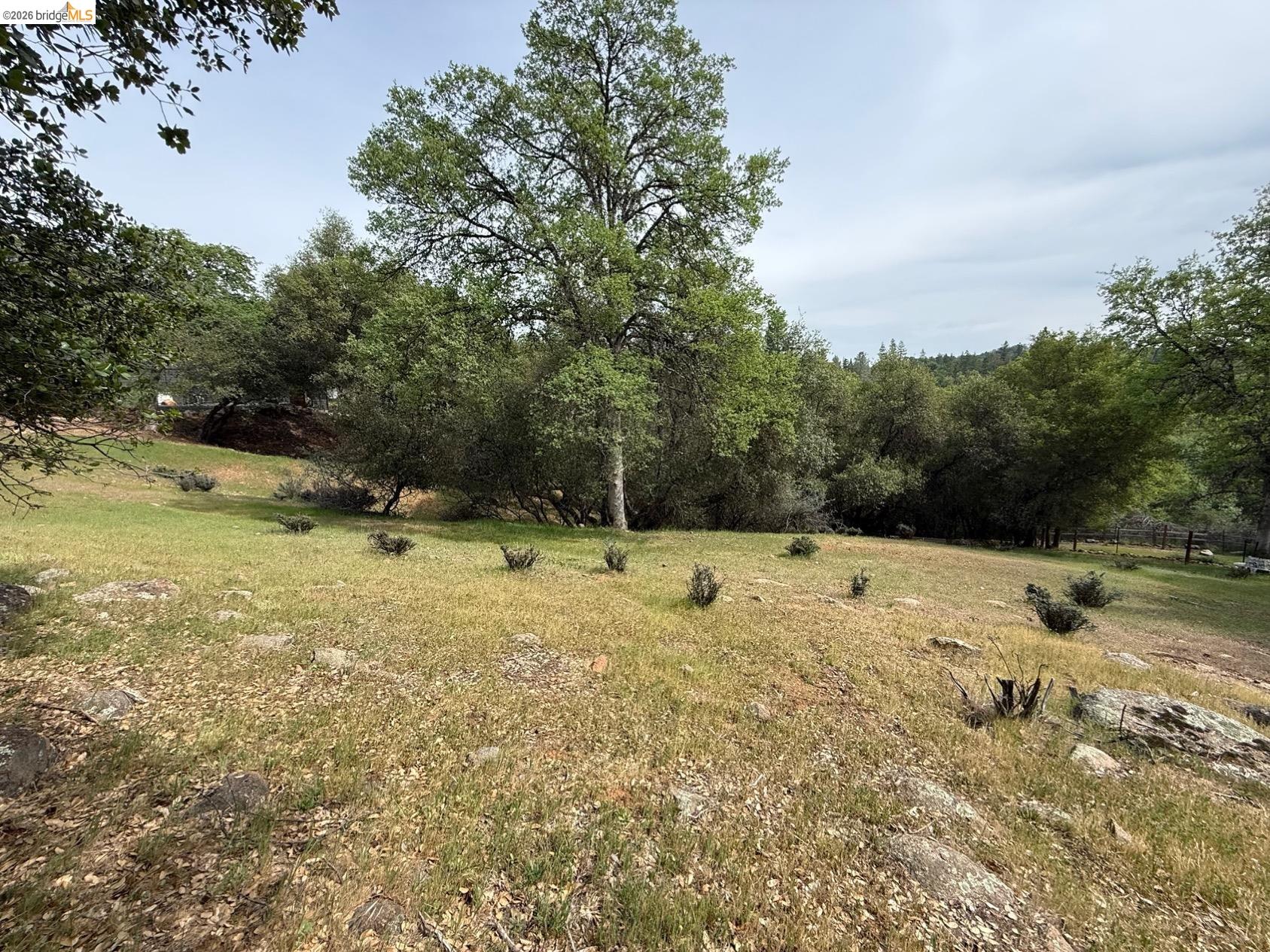 Detail Gallery Image 5 of 9 For 0000 Lake Vista Drive, Sonora,  CA 95370 - – Beds | – Baths