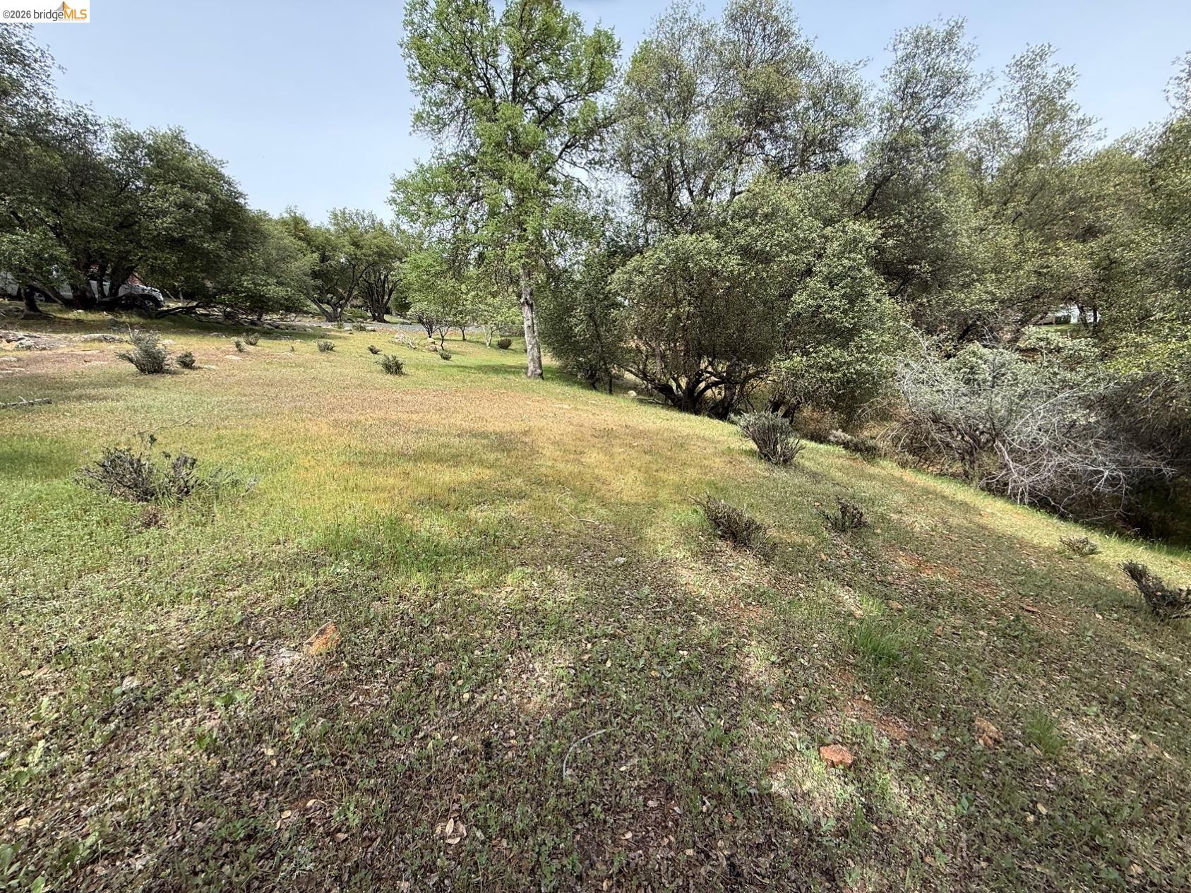 Detail Gallery Image 7 of 9 For 0000 Lake Vista Drive, Sonora,  CA 95370 - – Beds | – Baths