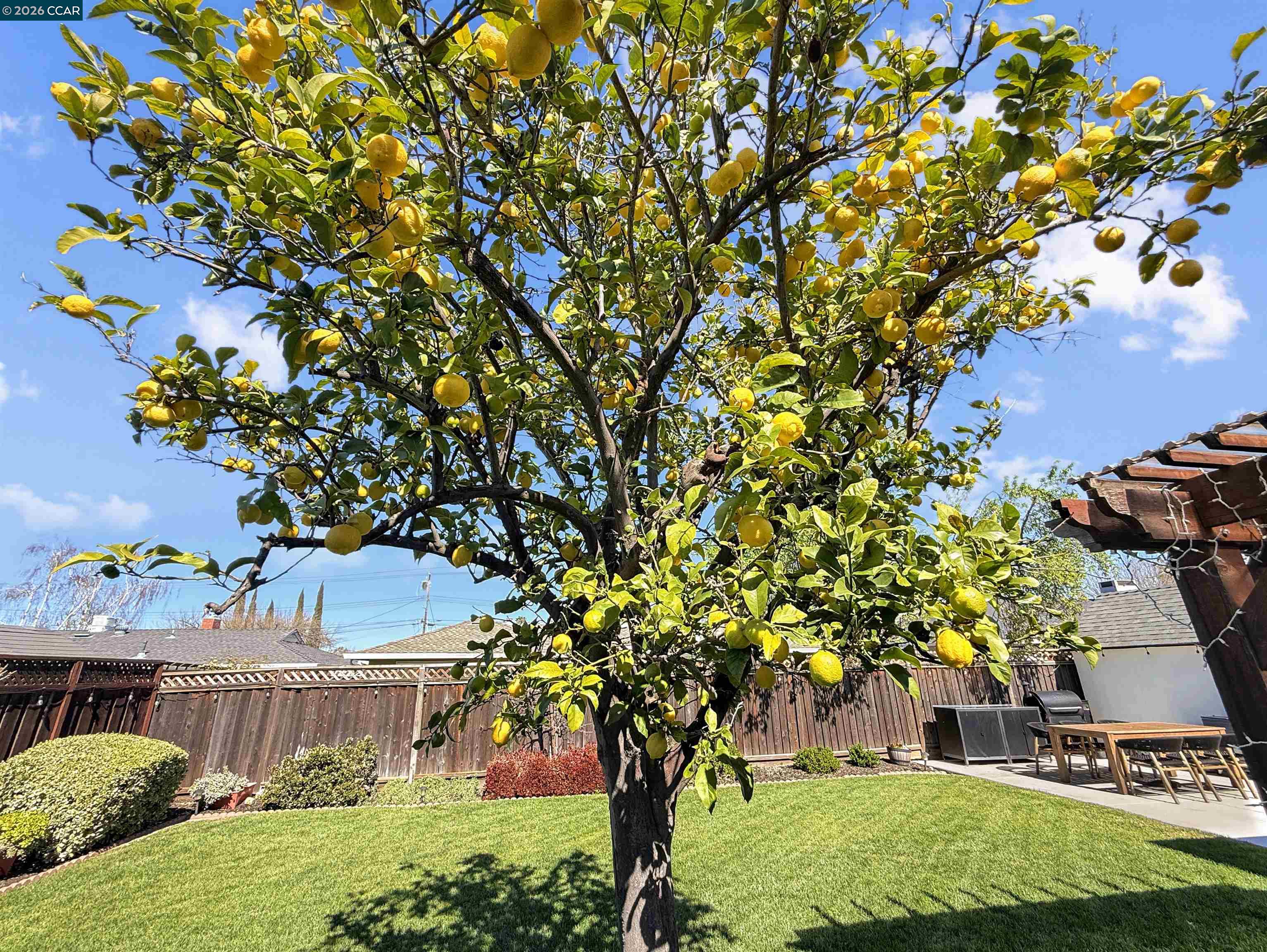 2164 Dena Dr, Concord, CA, 94519