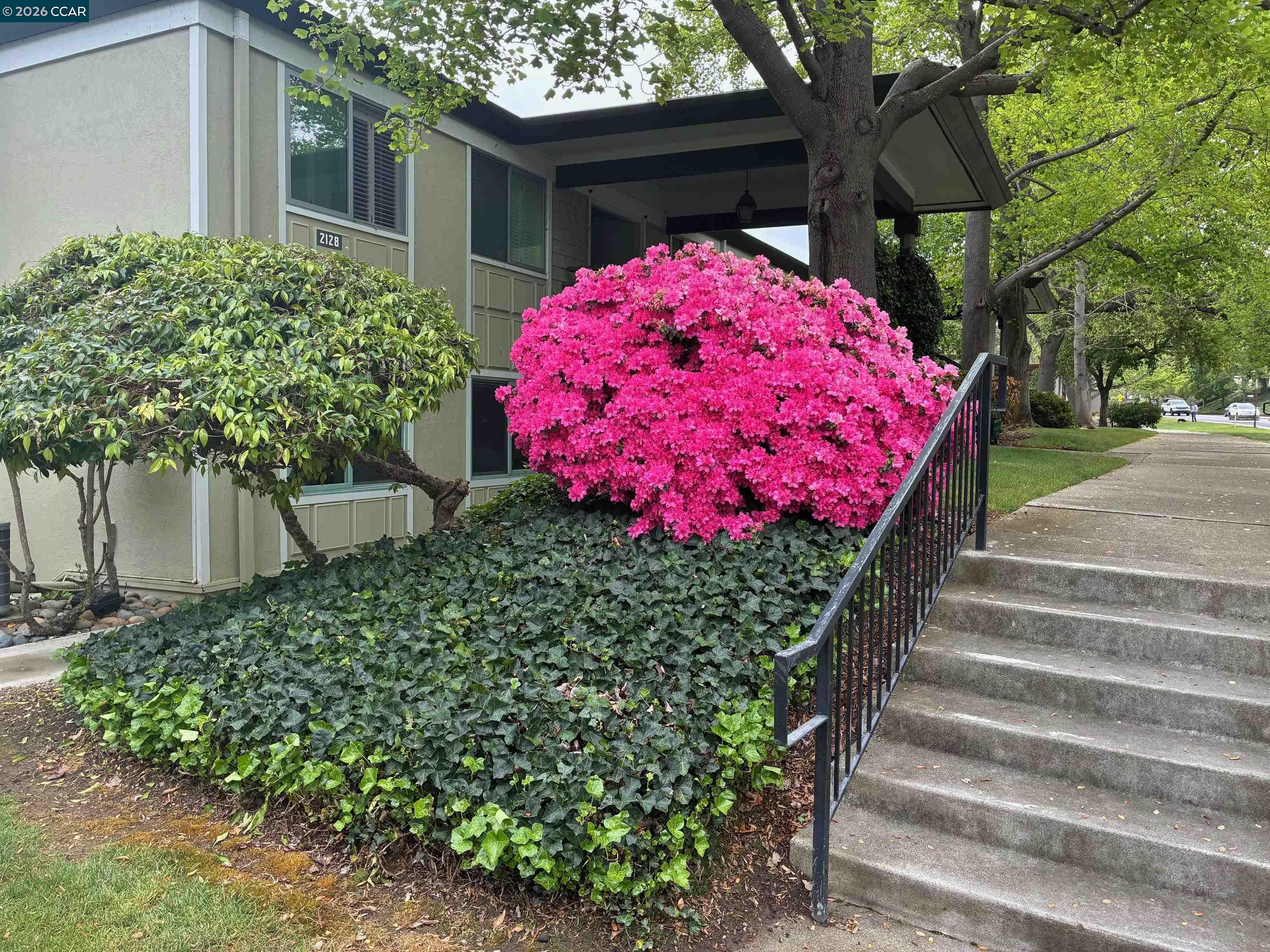 Photo #2: 41129136 Listing: Photo #2