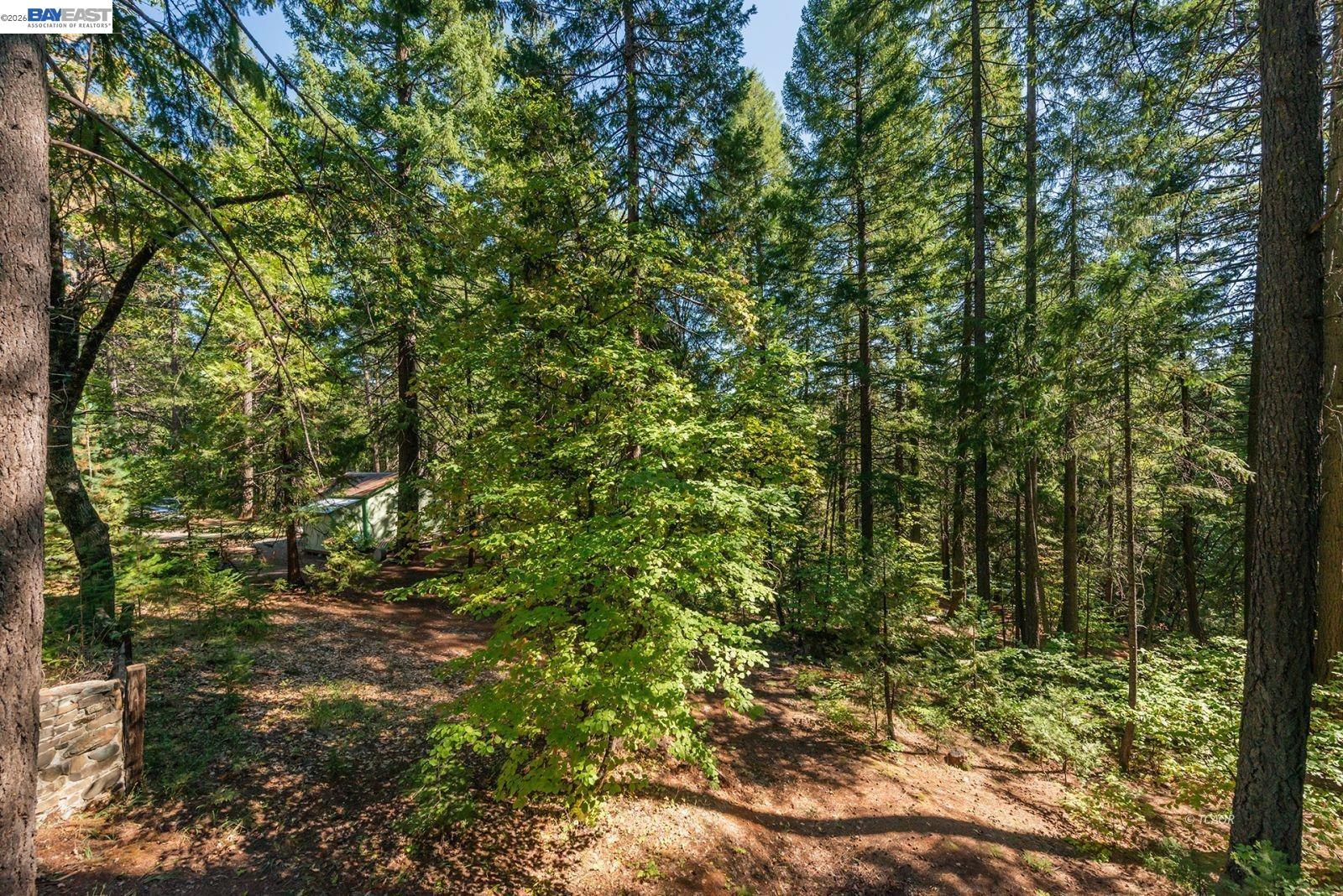 Detail Gallery Image 30 of 43 For 761 Lake Forest Dr., Trinity Center,  CA 96091 - 2 Beds | 1 Baths