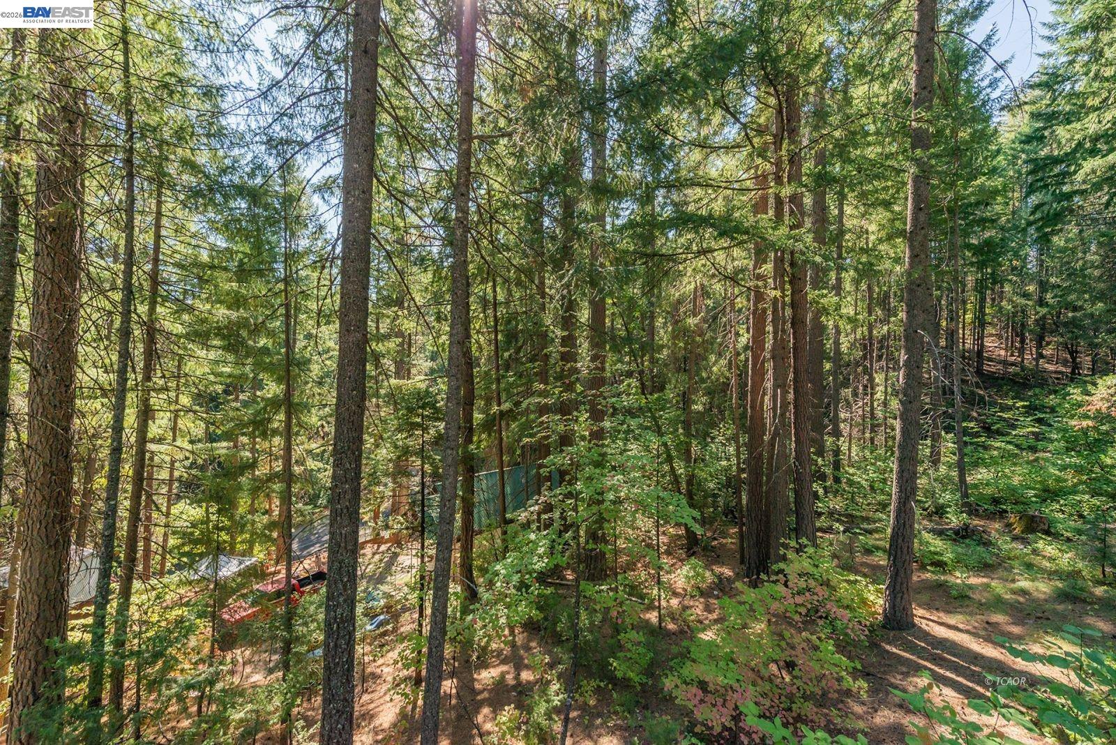 Detail Gallery Image 31 of 43 For 761 Lake Forest Dr., Trinity Center,  CA 96091 - 2 Beds | 1 Baths