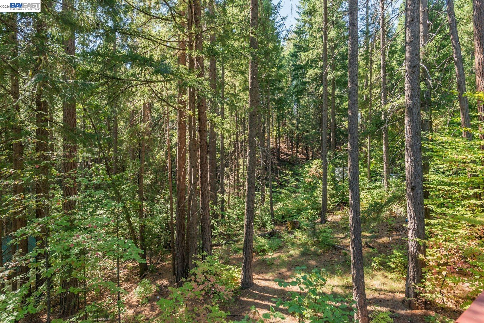 Detail Gallery Image 32 of 43 For 761 Lake Forest Dr., Trinity Center,  CA 96091 - 2 Beds | 1 Baths