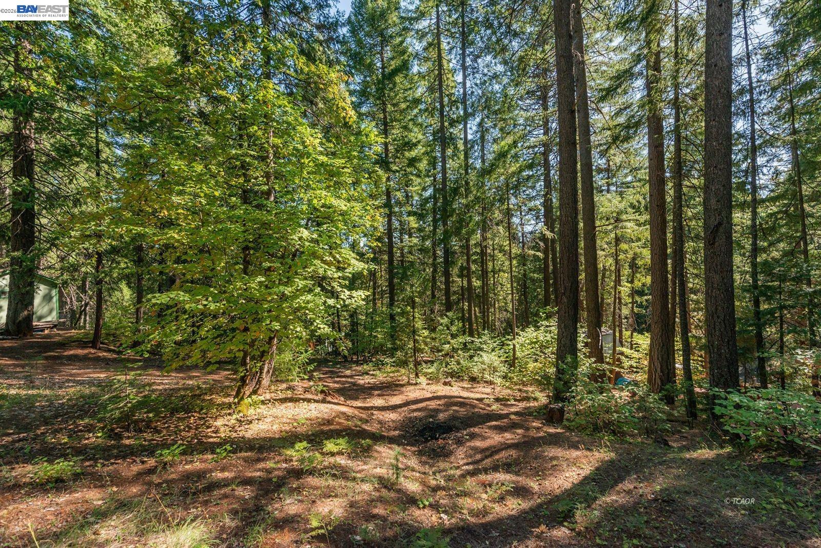 Detail Gallery Image 36 of 43 For 761 Lake Forest Dr., Trinity Center,  CA 96091 - 2 Beds | 1 Baths