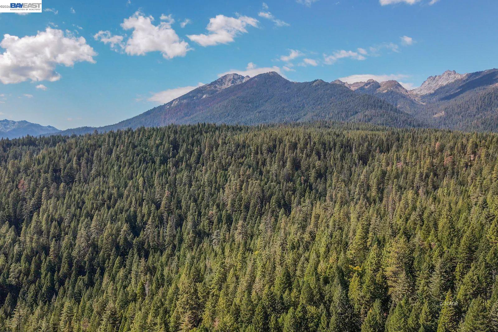 Detail Gallery Image 43 of 43 For 761 Lake Forest Dr., Trinity Center,  CA 96091 - 2 Beds | 1 Baths