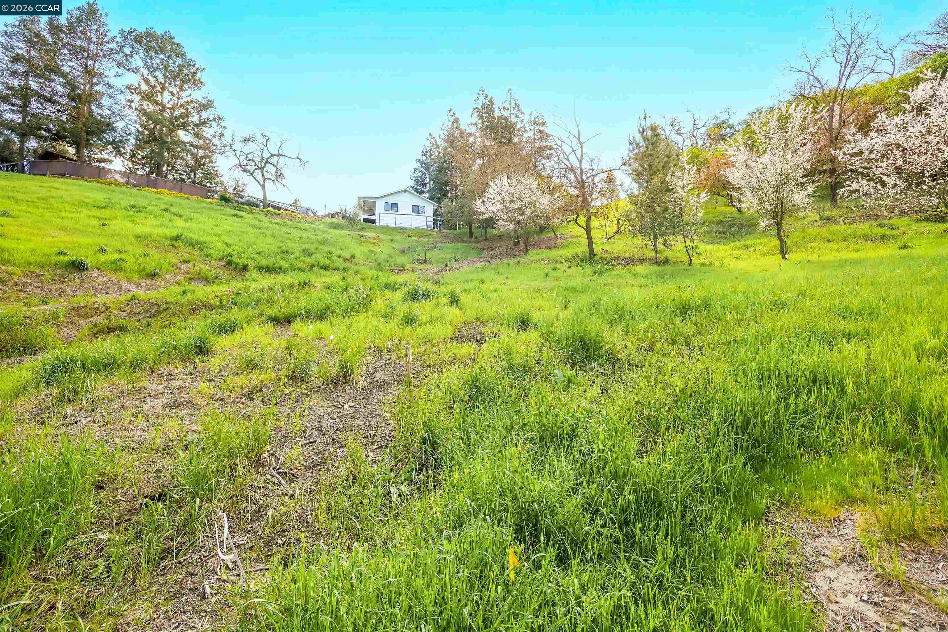 Detail Gallery Image 7 of 12 For 40 Rodrigues Ln, Walnut Creek,  CA 94597 - – Beds | – Baths