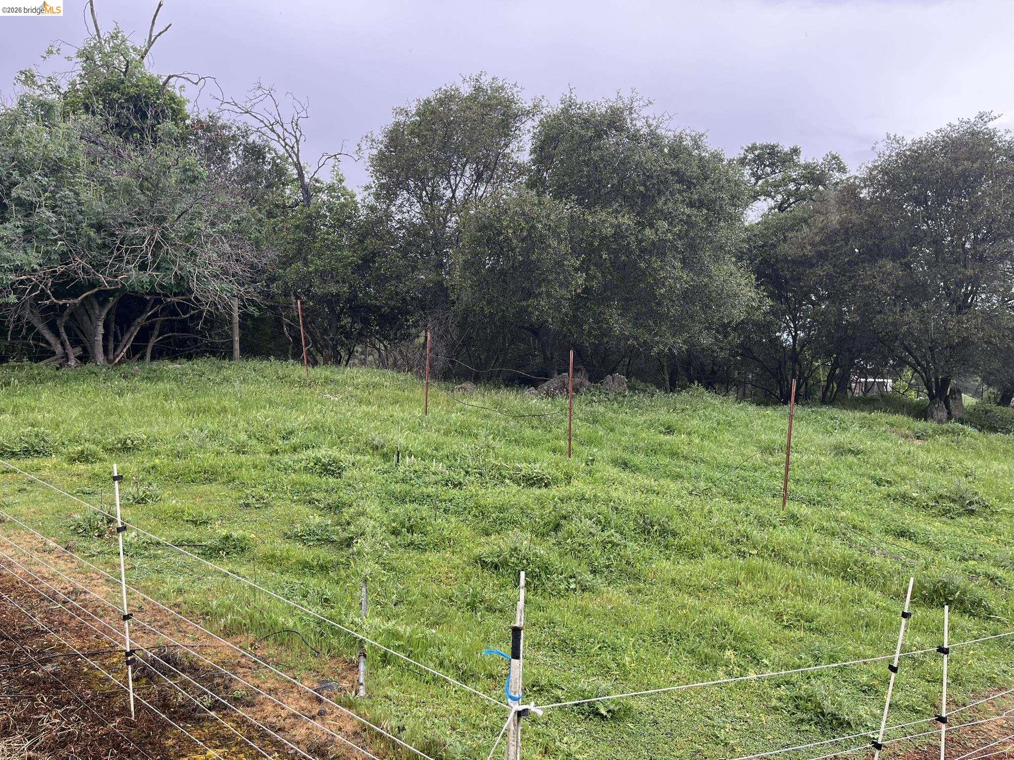 Detail Gallery Image 38 of 45 For 19644 Rawhide Rd, Sonora,  CA 95370 - 3 Beds | 2 Baths