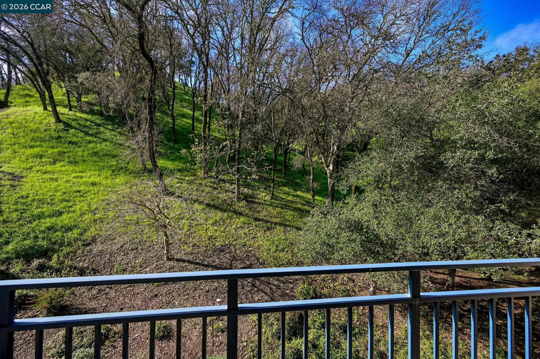 5920 Horsemans Canyon UNIT 1B, Walnut Creek, CA, 94595