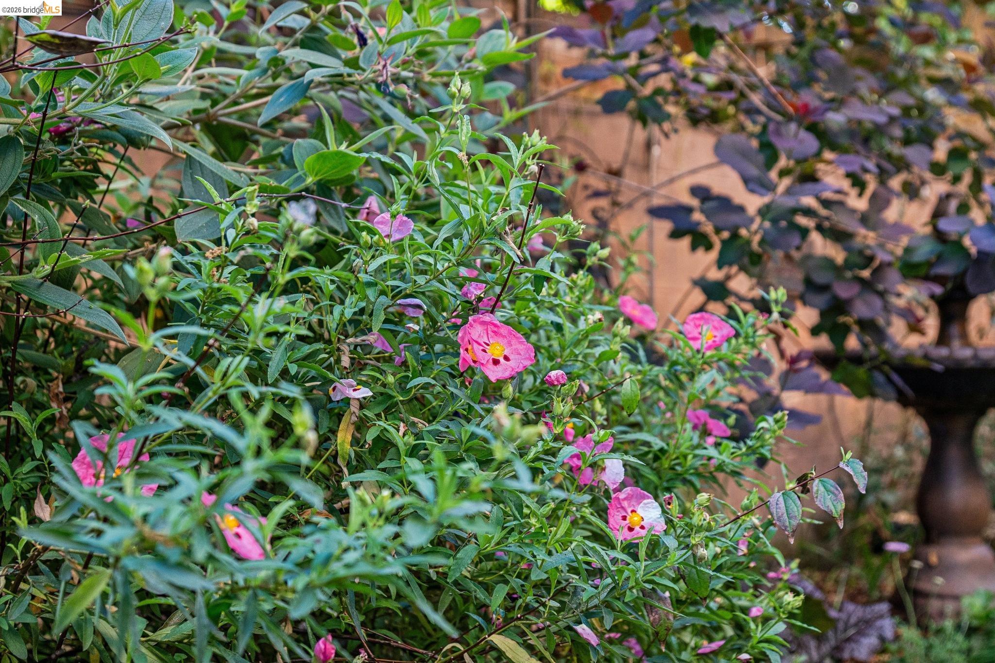 Detail Gallery Image 36 of 46 For 1515 Oxford St 1d,  Berkeley,  CA 94709 - 2 Beds | 2 Baths