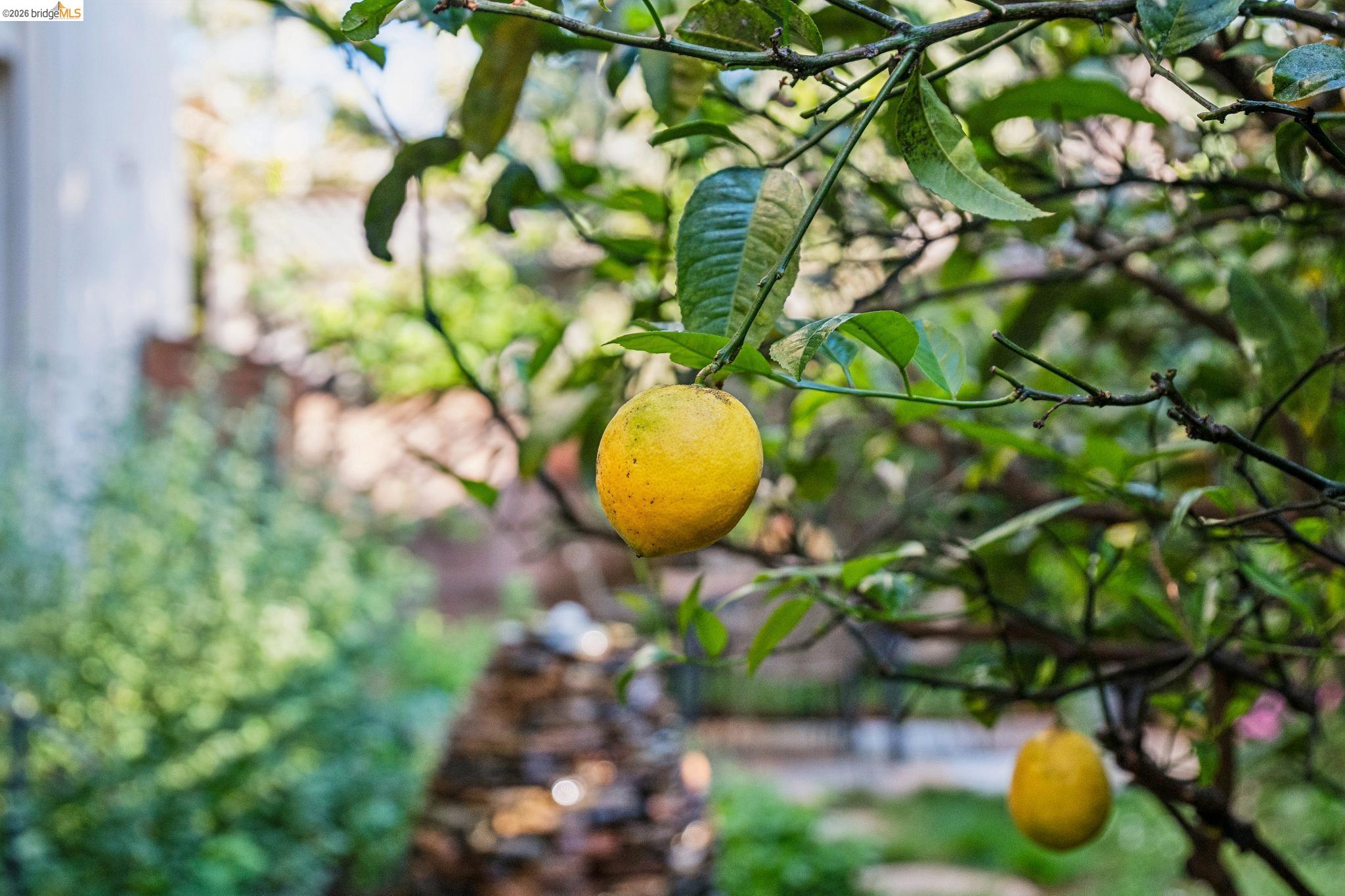 Detail Gallery Image 37 of 46 For 1515 Oxford St 1d,  Berkeley,  CA 94709 - 2 Beds | 2 Baths