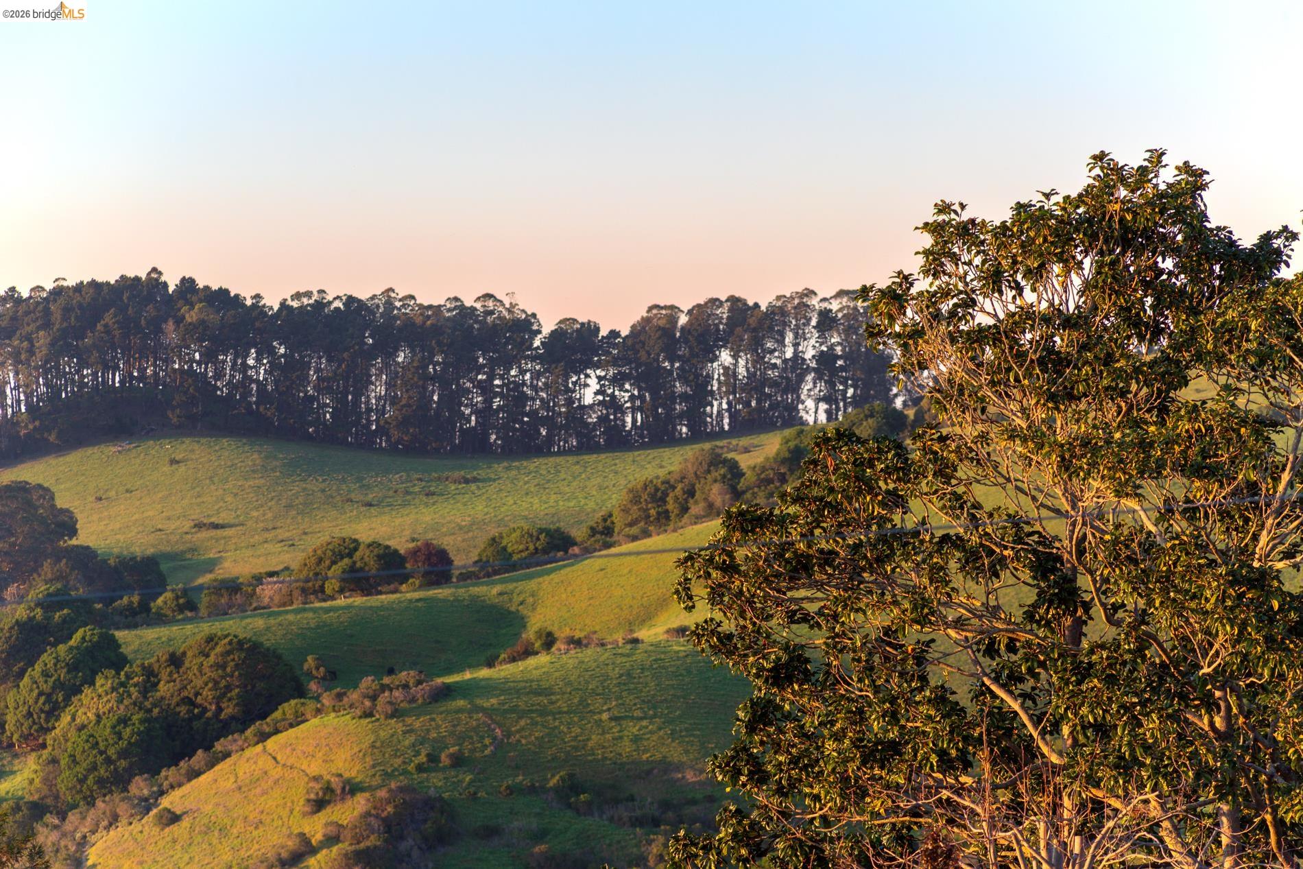 Detail Gallery Image 49 of 57 For 6808 Del Monte Ave, Richmond,  CA 94805 - 4 Beds | 2 Baths