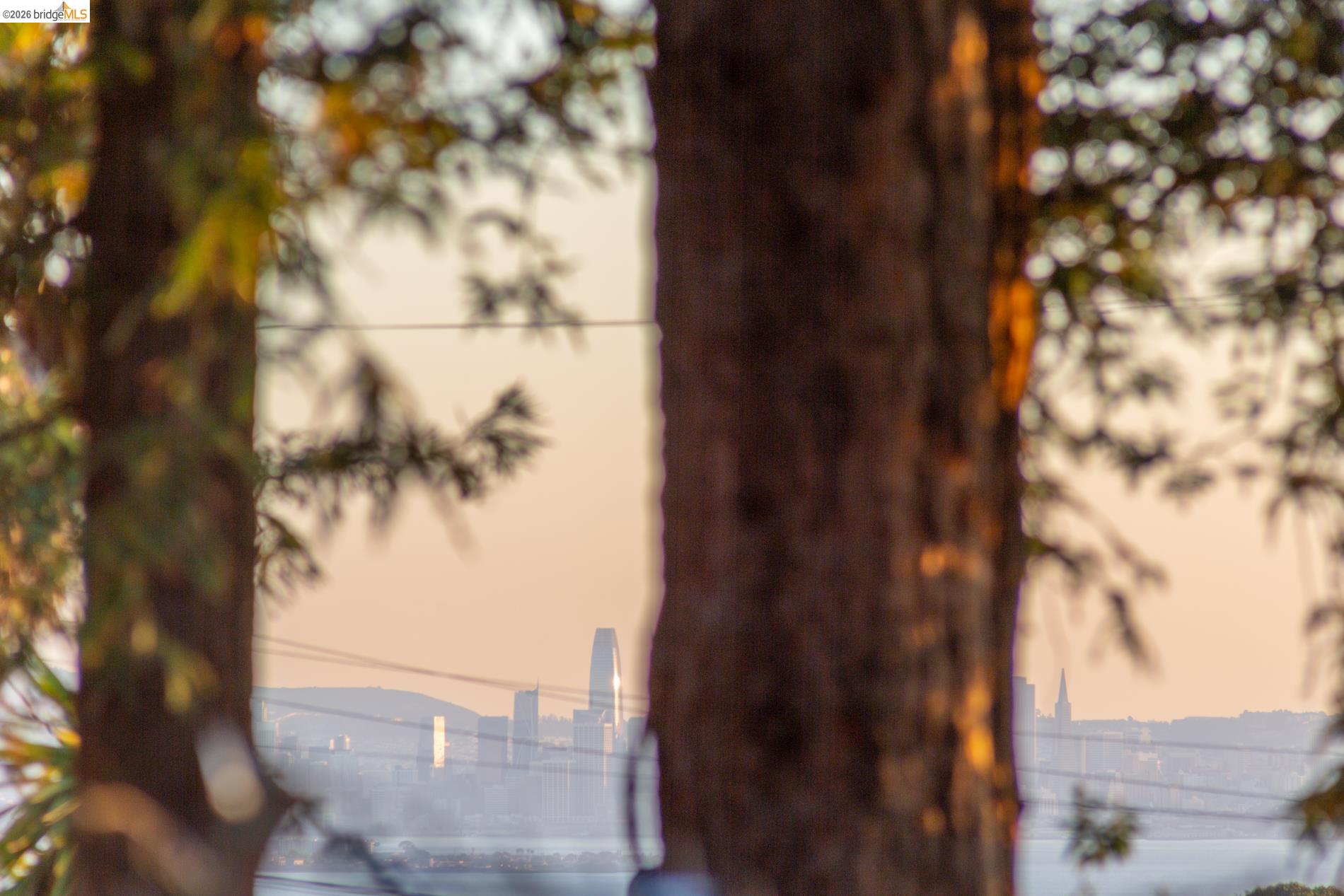 Detail Gallery Image 51 of 57 For 6808 Del Monte Ave, Richmond,  CA 94805 - 4 Beds | 2 Baths