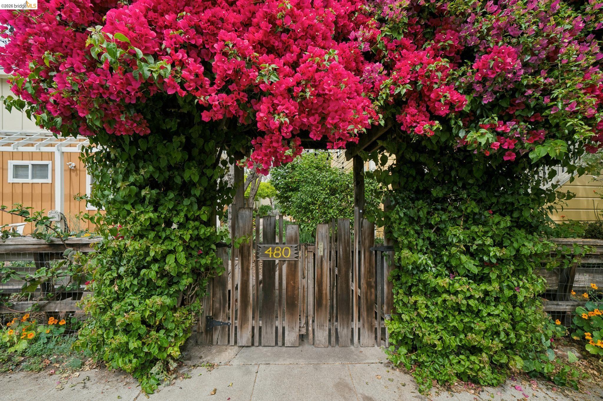 Detail Gallery Image 3 of 42 For 480 42nd St #E,  Oakland,  CA 94609 - 3 Beds | 1/1 Baths