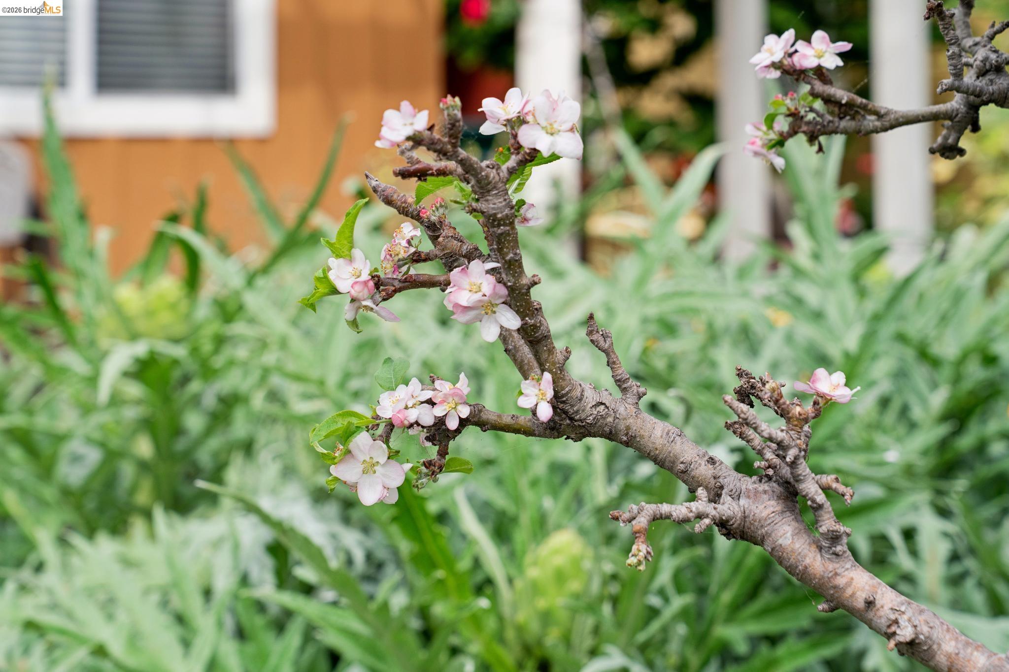 Detail Gallery Image 37 of 42 For 480 42nd St #E,  Oakland,  CA 94609 - 3 Beds | 1/1 Baths