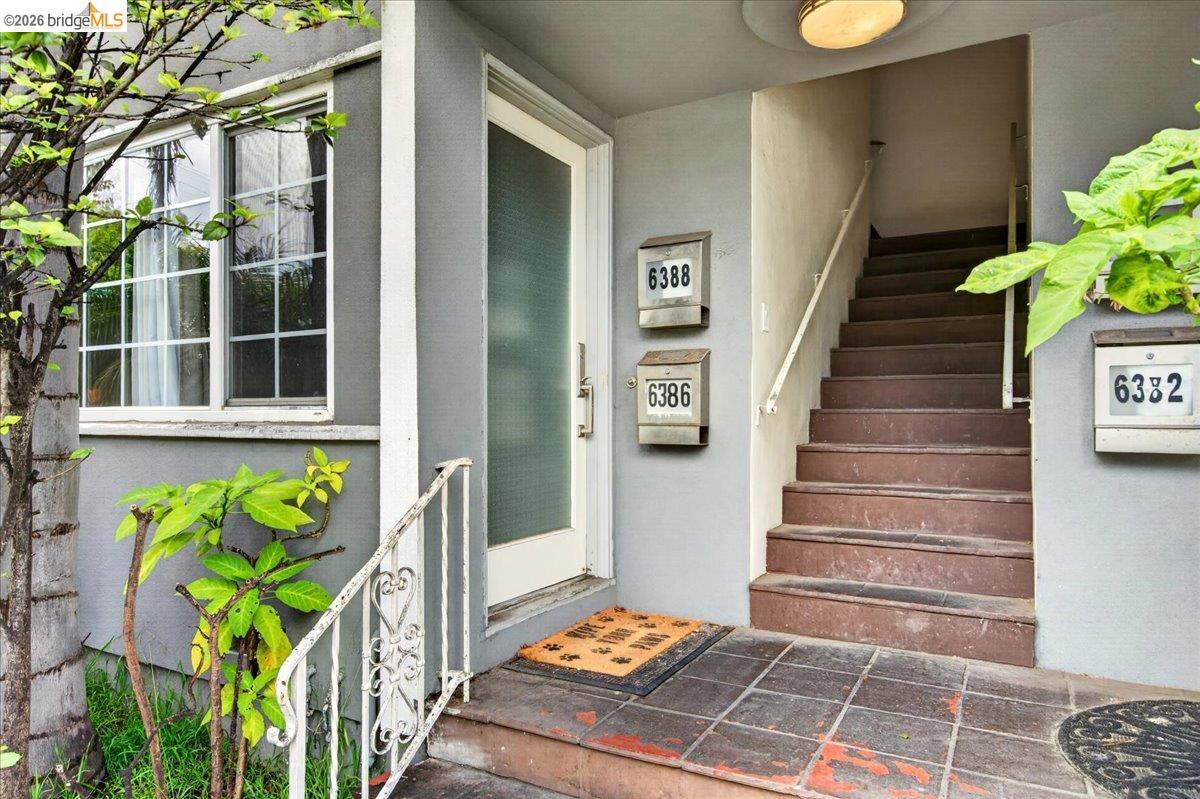 Photo #5: 41129232 Listing: Photo #5