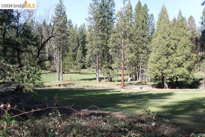 Detail Gallery Image 38 of 46 For 18861 Lookout Dr, Twain Harte,  CA 95383 - 4 Beds | 3/1 Baths