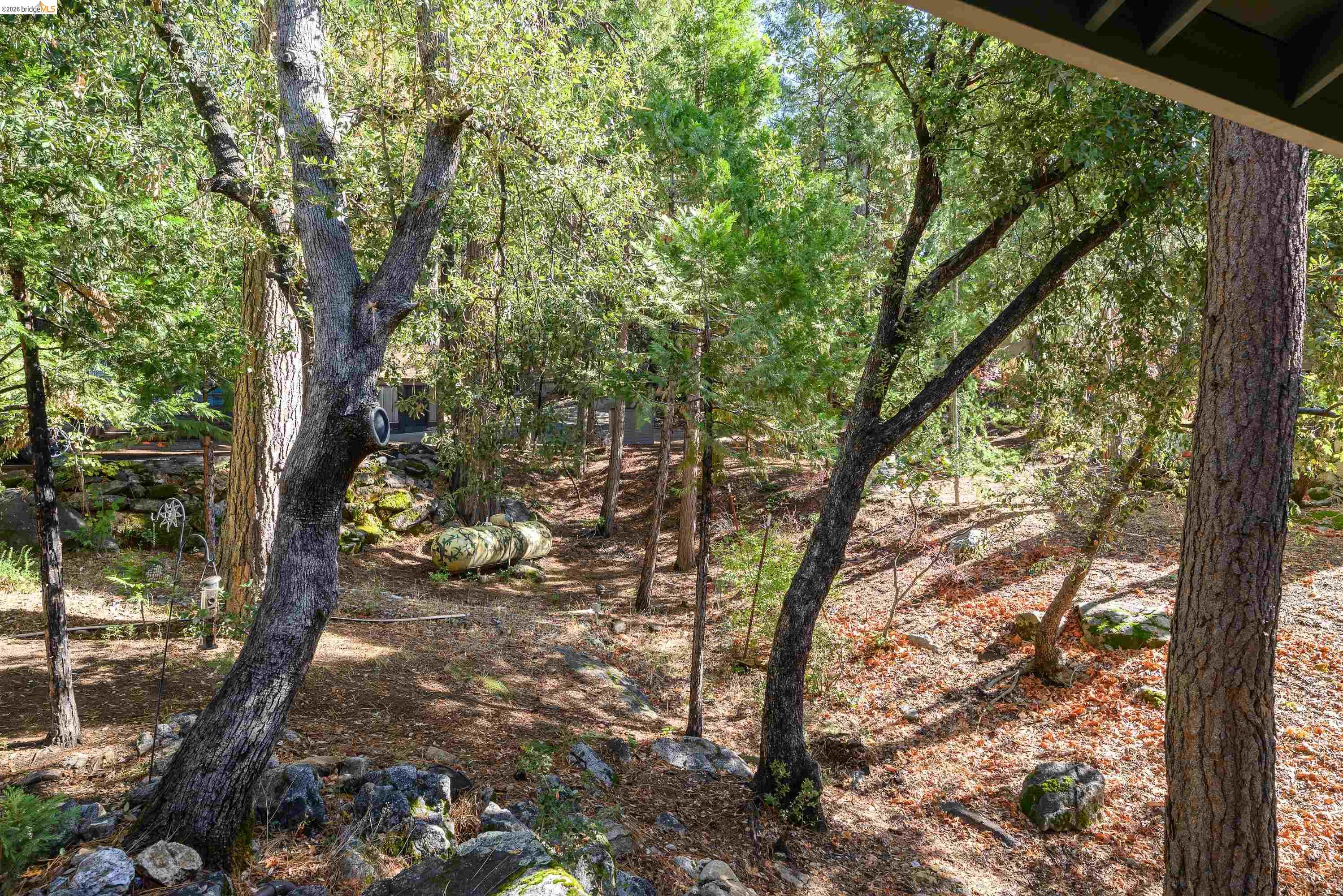 Detail Gallery Image 46 of 46 For 18861 Lookout Dr, Twain Harte,  CA 95383 - 4 Beds | 3/1 Baths