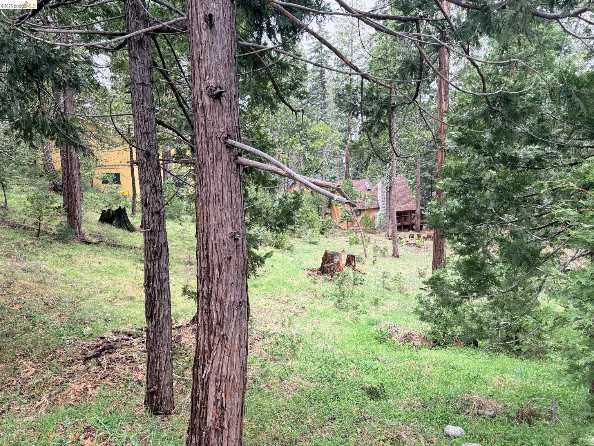 Front Image Thumbnail for EB41129276