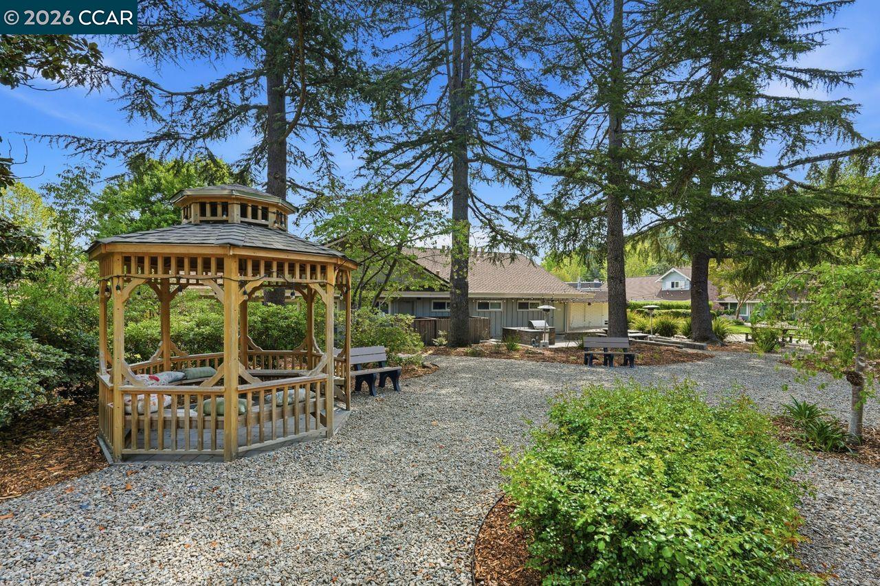 Detail Gallery Image 49 of 55 For 204 Miramonte Dr, Moraga,  CA 94556 - 4 Beds | 2 Baths