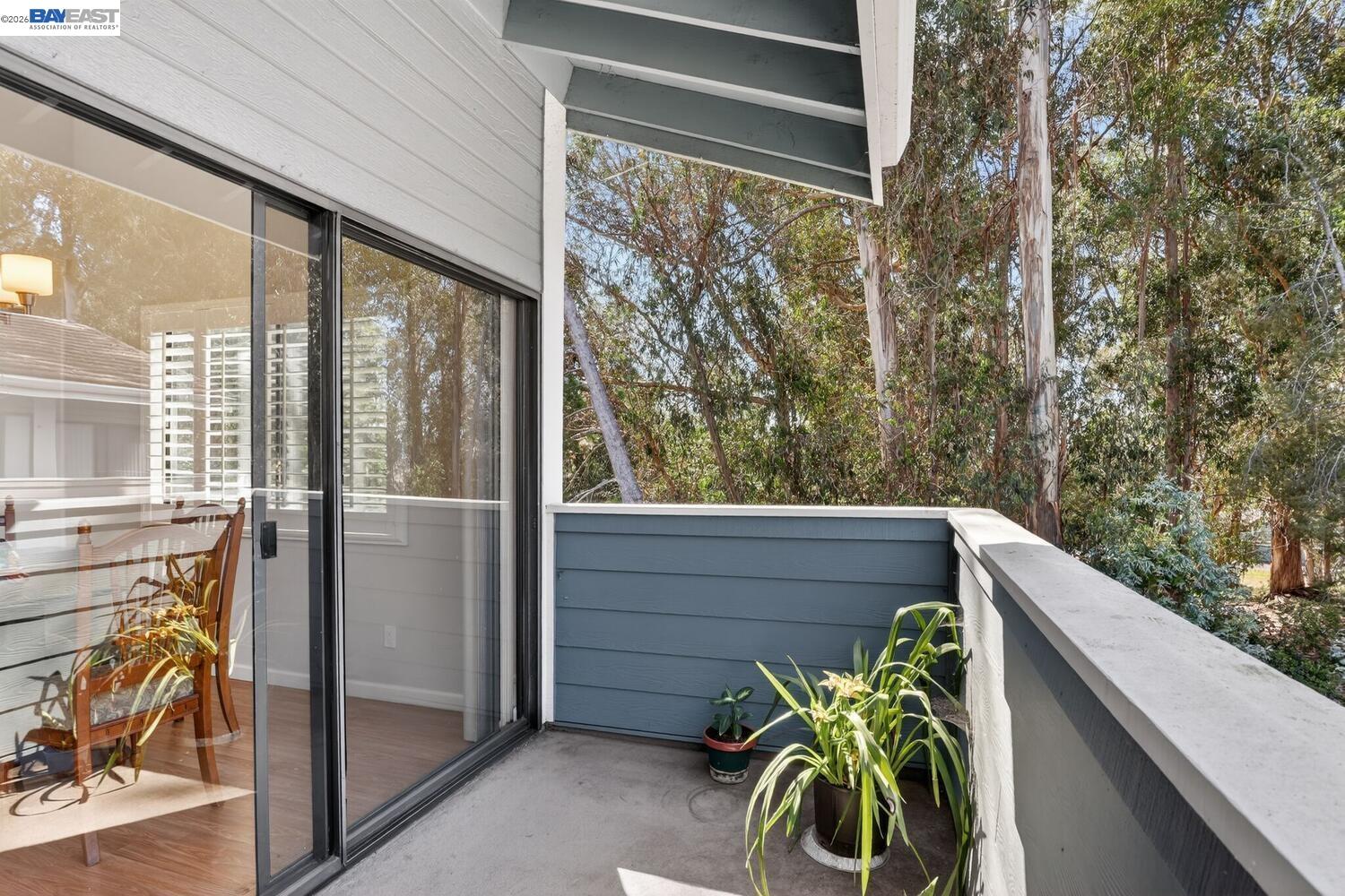 Photo #18: 41129284 Listing: Photo #18