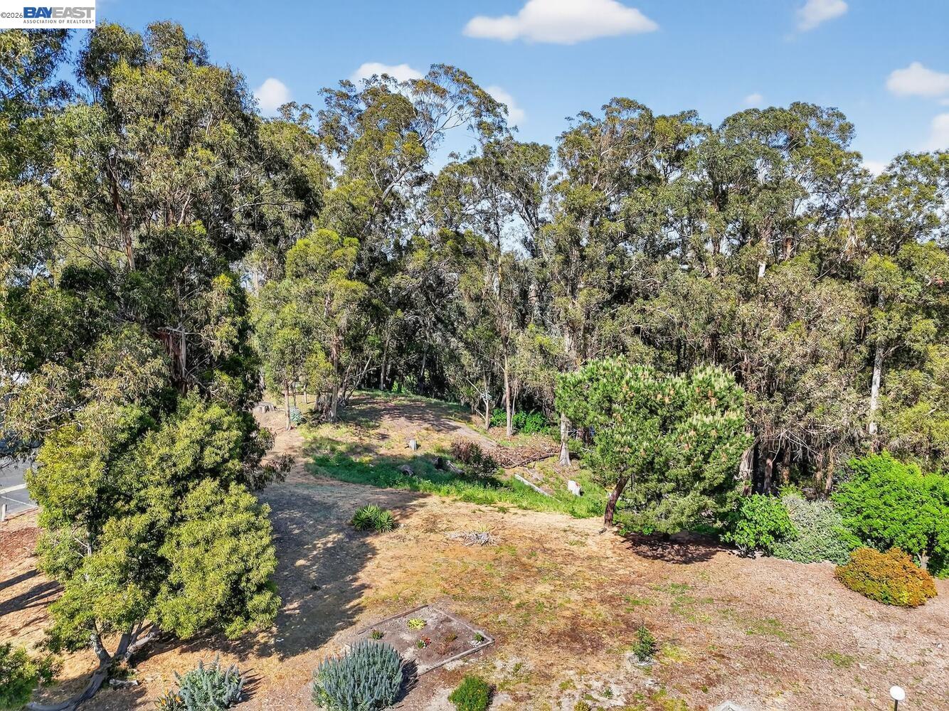 Photo #35: 41129284 Listing: Photo #35