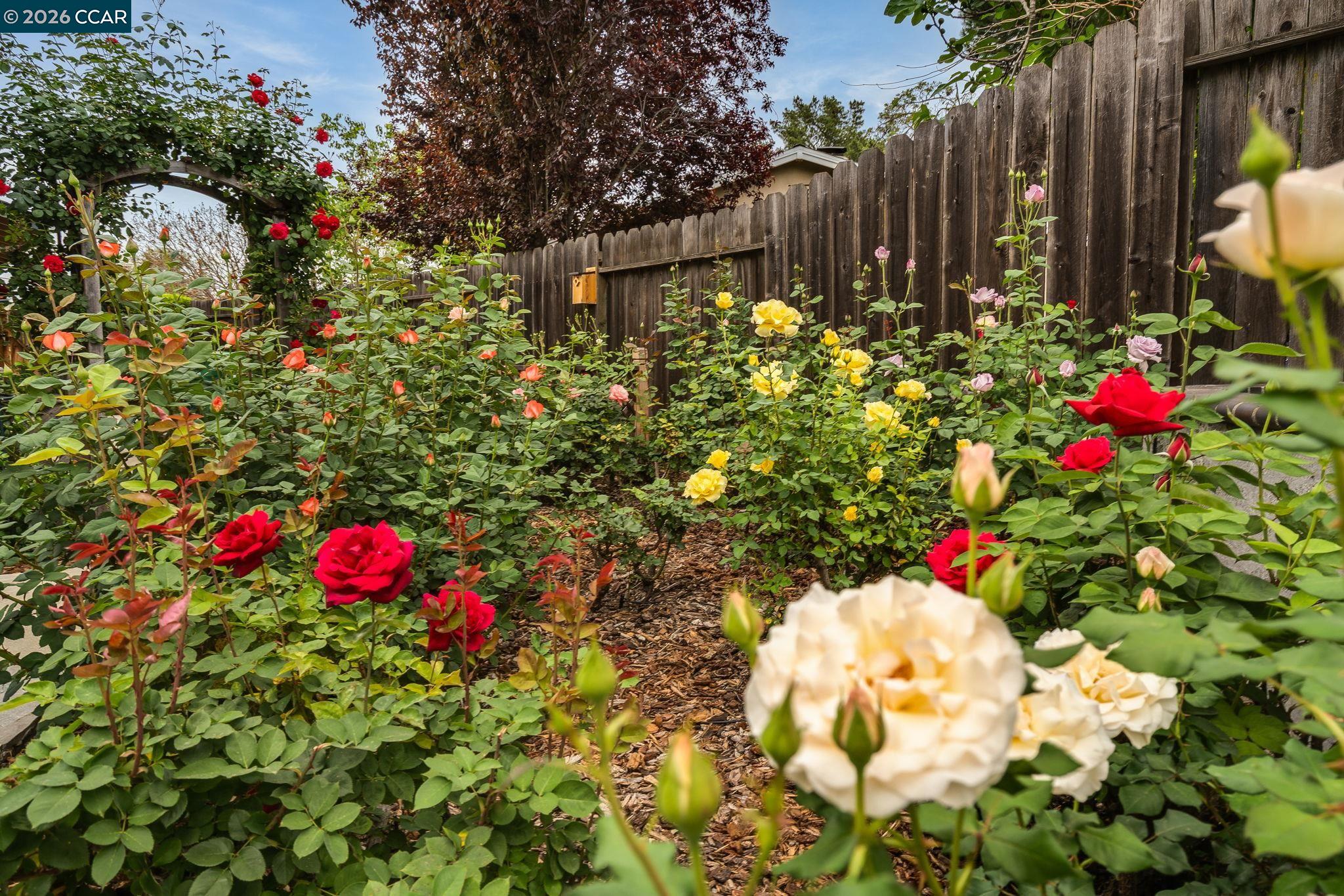 Detail Gallery Image 33 of 58 For 206 Dayton Court, San Ramon,  CA 94583 - 4 Beds | 2 Baths