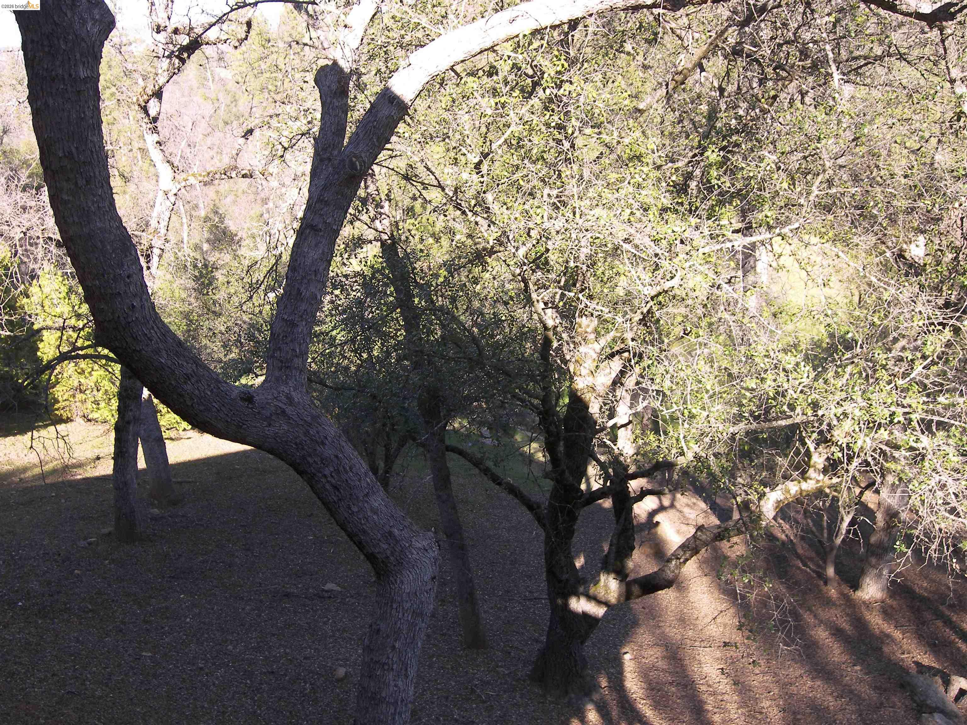 Detail Gallery Image 42 of 58 For 21076 Hillcroft Dr., Groveland,  CA 95321 - 3 Beds | 2 Baths