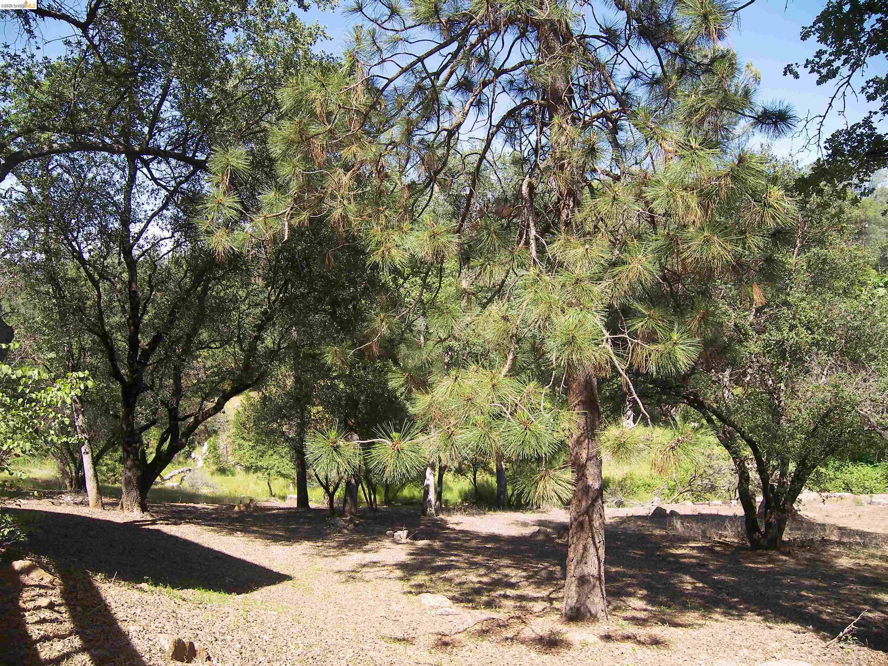 21076 Hillcroft Dr., Groveland CA 95321 — photo 49