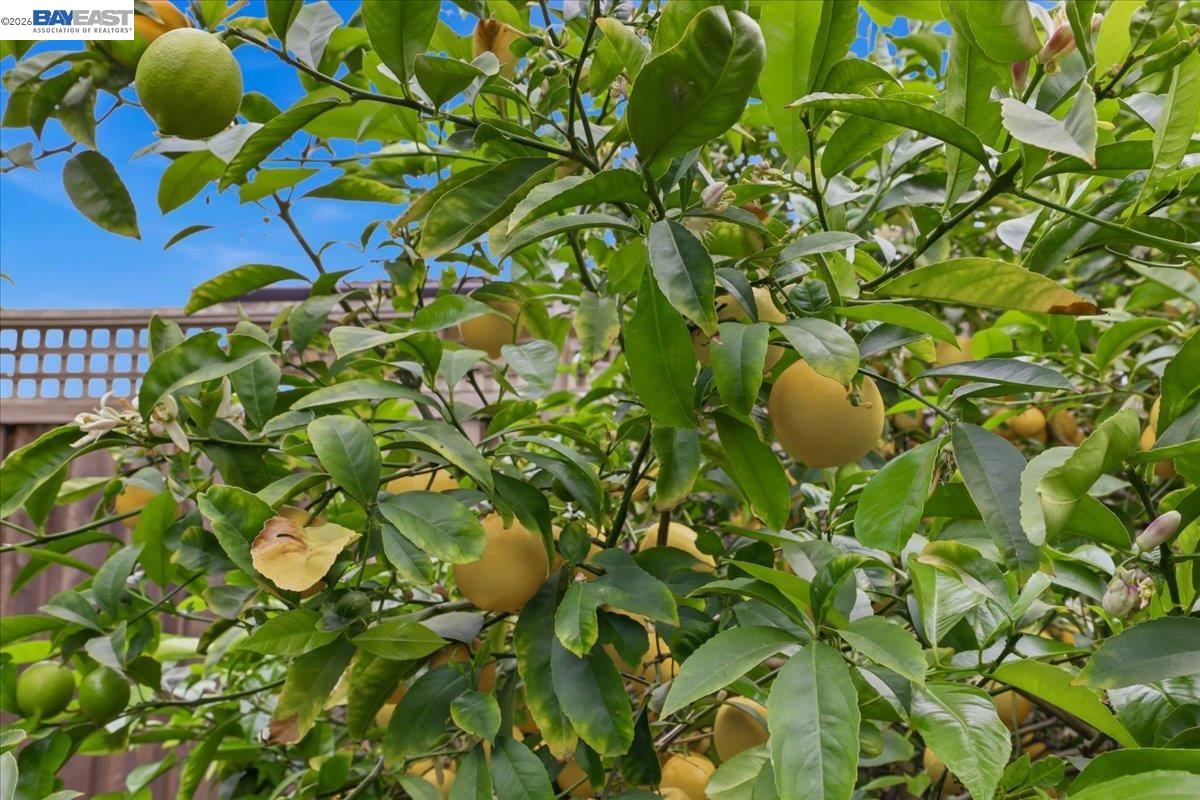 Detail Gallery Image 23 of 24 For 4374 Eggers Dr, Fremont,  CA 94536 - 3 Beds | 2 Baths