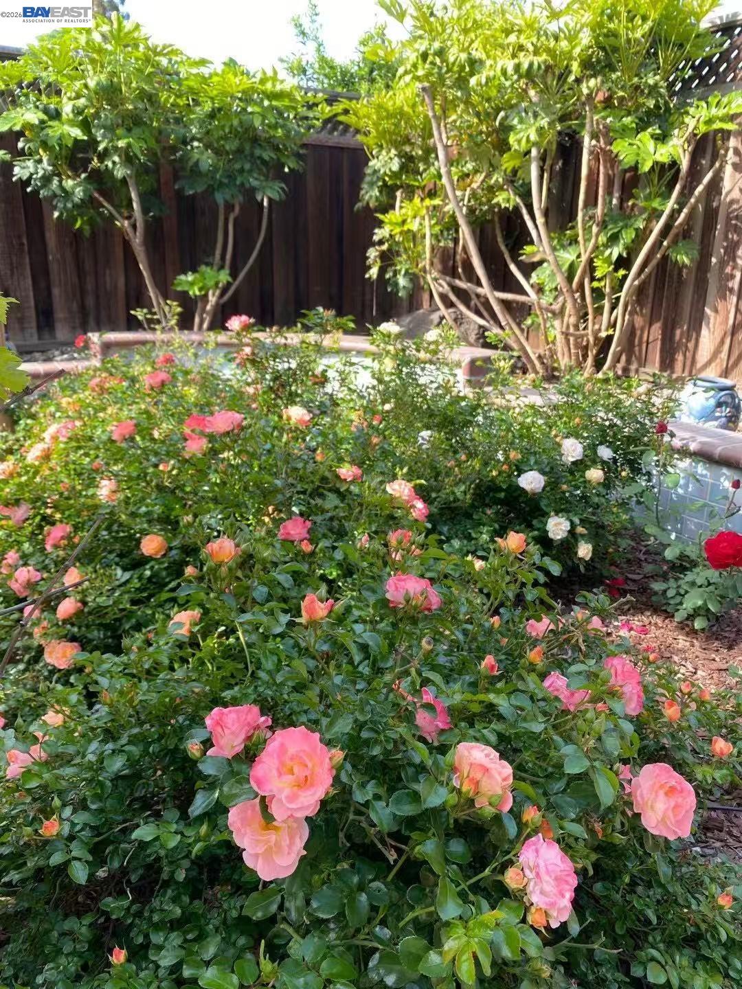 Detail Gallery Image 44 of 51 For 4022 Silver St, Pleasanton,  CA 94566 - 3 Beds | 2 Baths